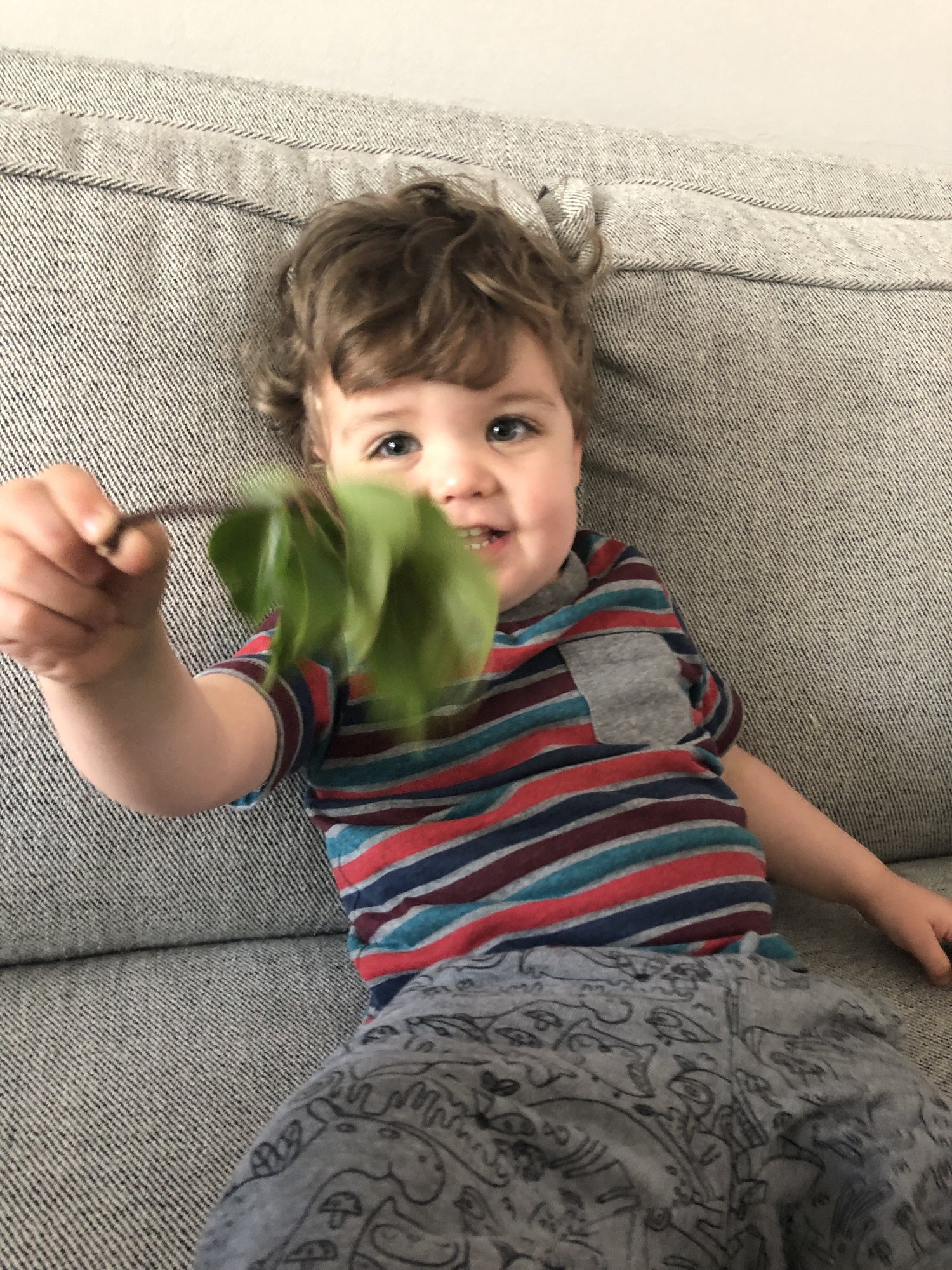 He played with these leaves for a few days. Why do we even bother to buy toys???