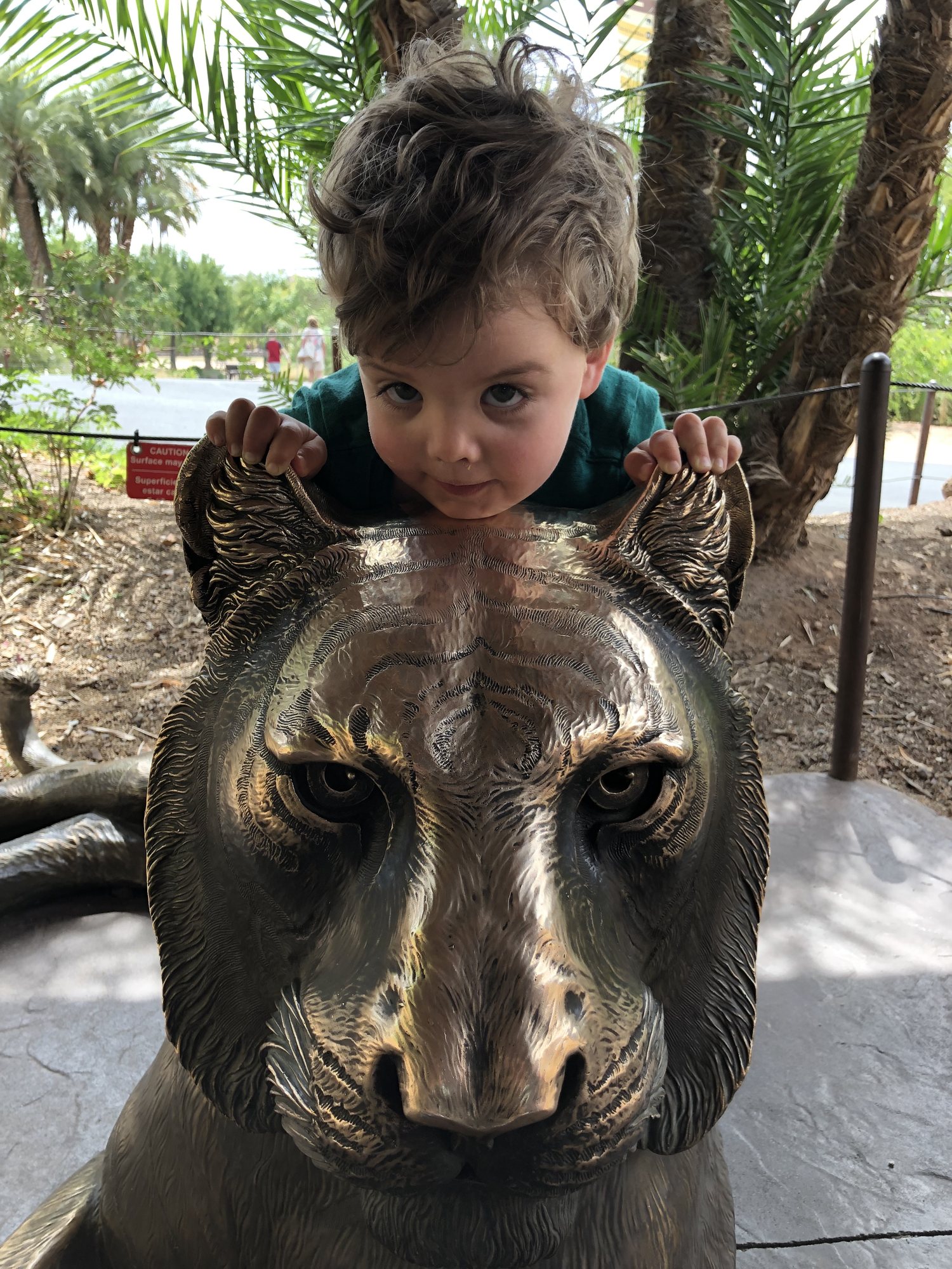 He spent a full 15 min on this tiger - totally ignored the ACTUAL tiger in the exhibit. lol.