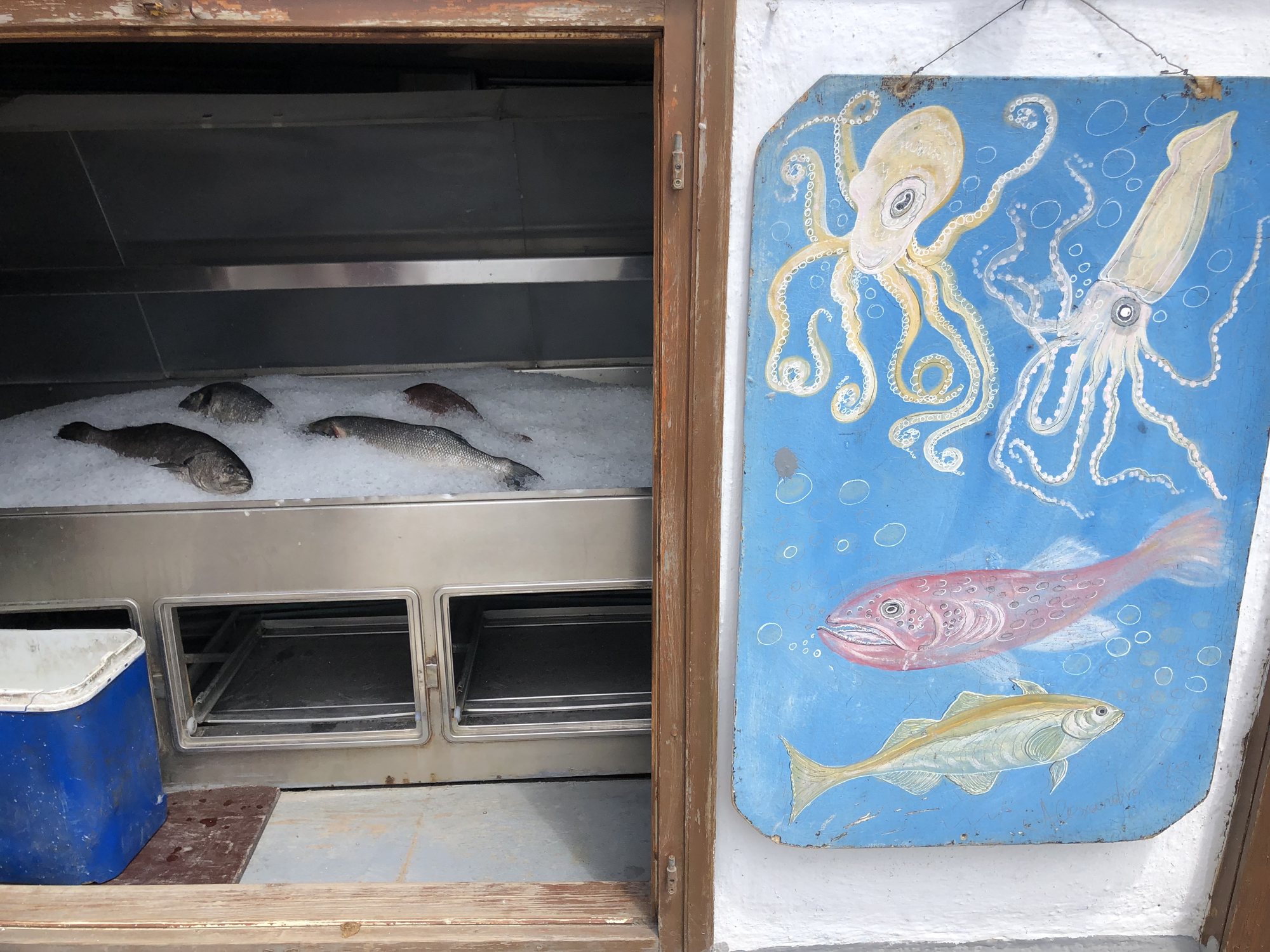 Seriously fresh fish... and a painted sign in case you don't know what they sell :)