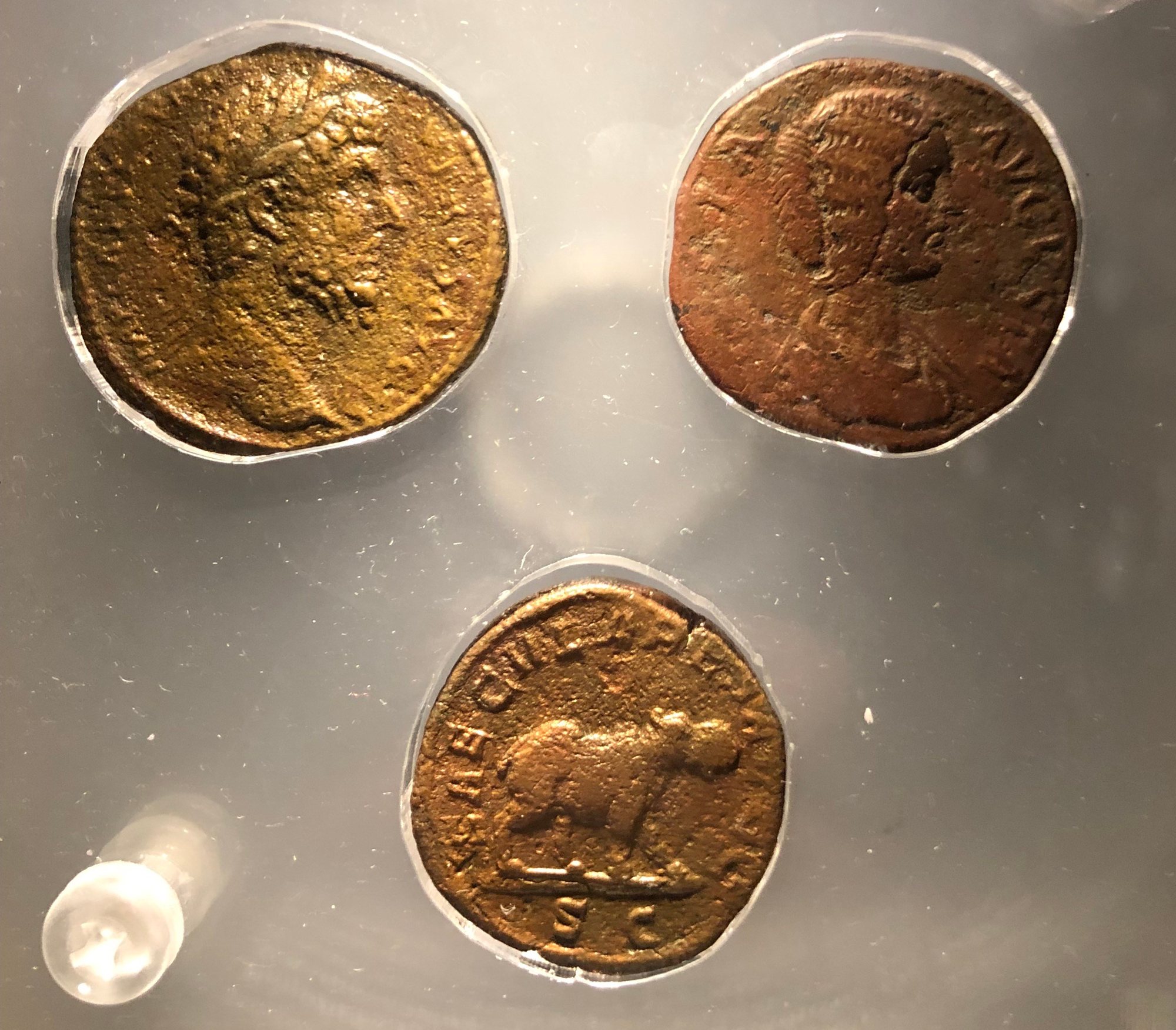 Minoan (?) coins. Craig liked the hippo one :)