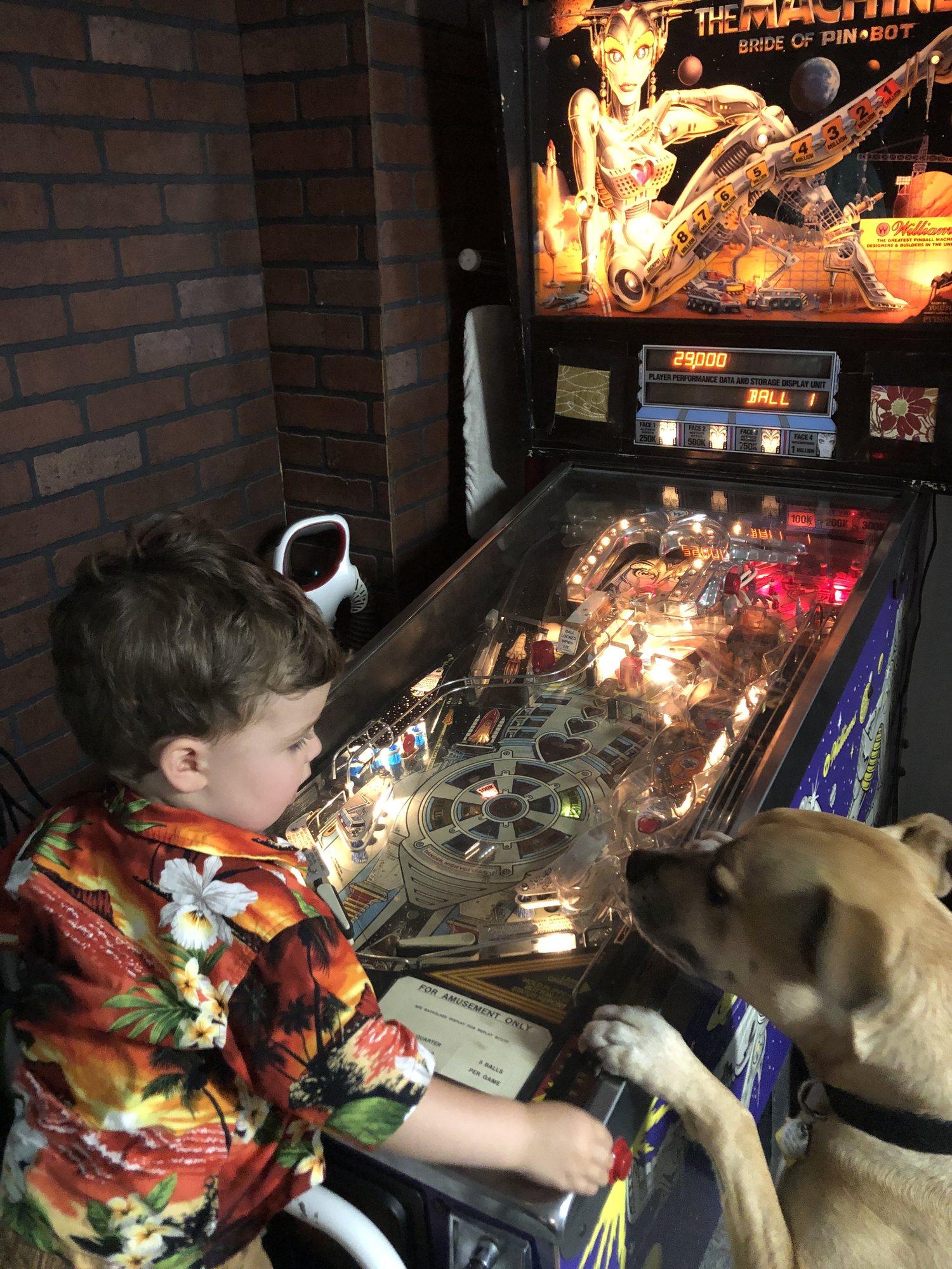Ben plays pinball in a Hawaiian shirt with a dog (of course).