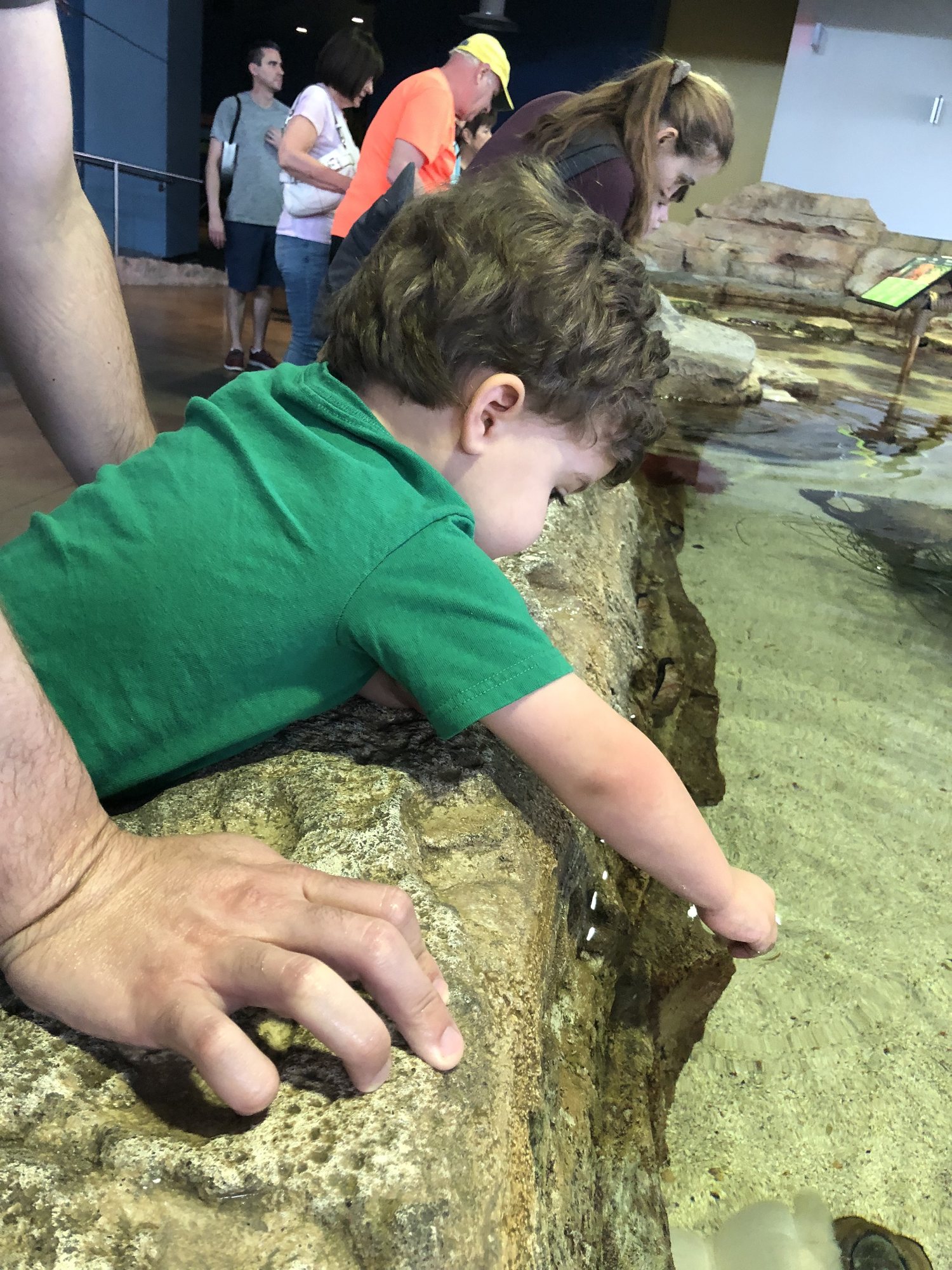 Trying out the touch tank at the Odysea Aquarium. He never actually touches any of the animals - just the water :)
