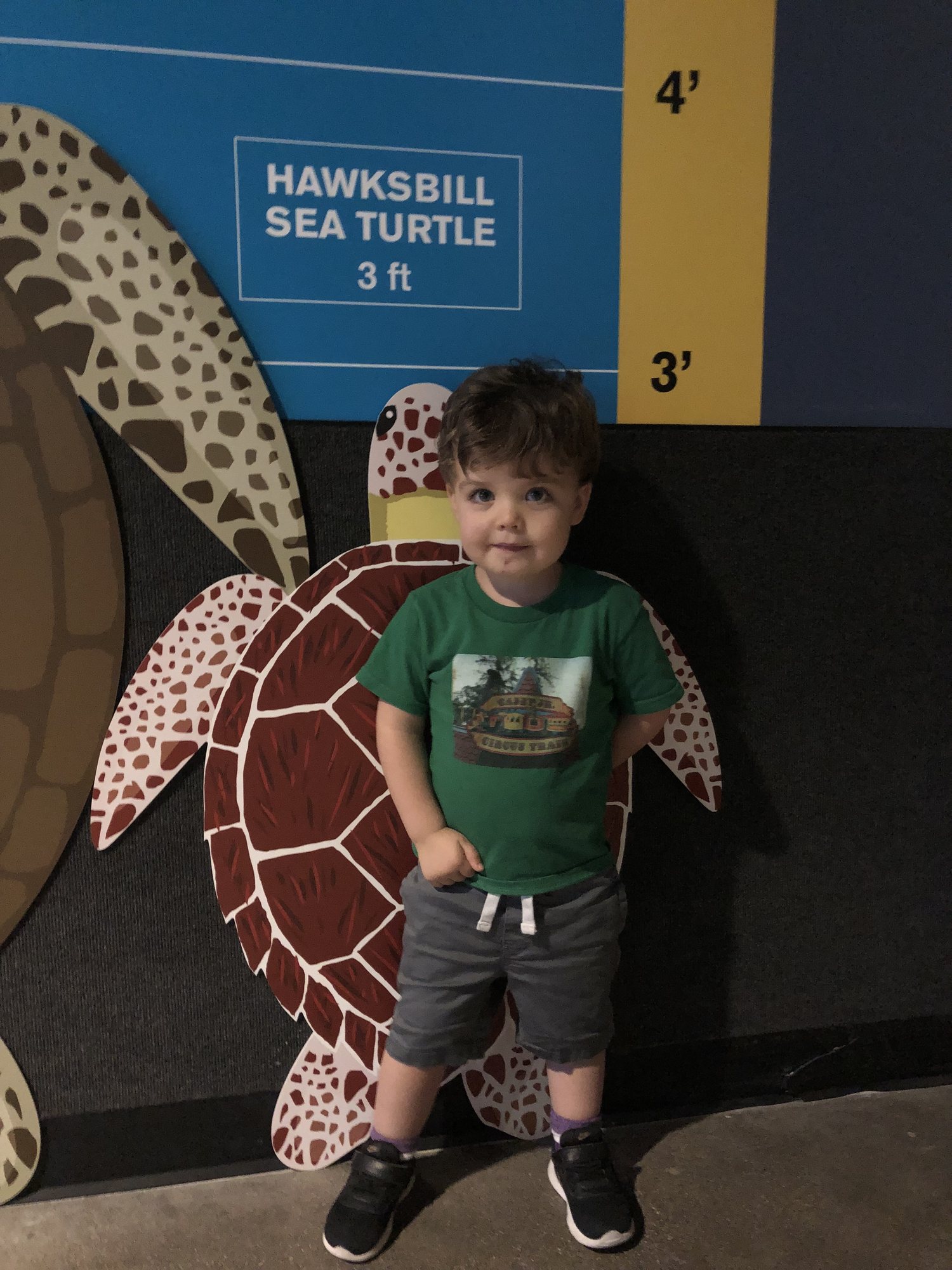 Ben's hair has enough loft to make him taller than a Hawksbill Sea Turtle!