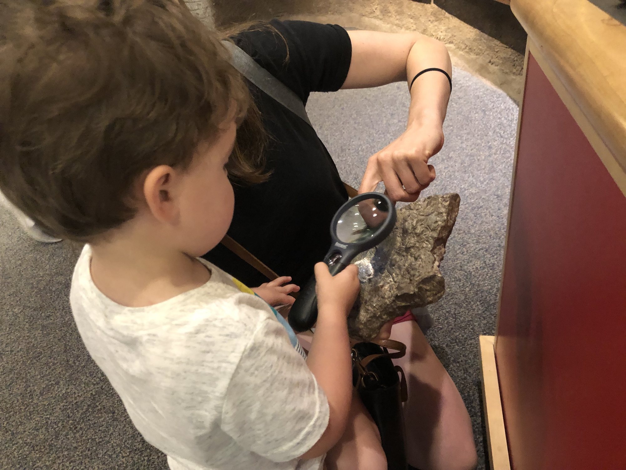 Checking out some fossiliferous limestone with mama at the Natural History Museum.
