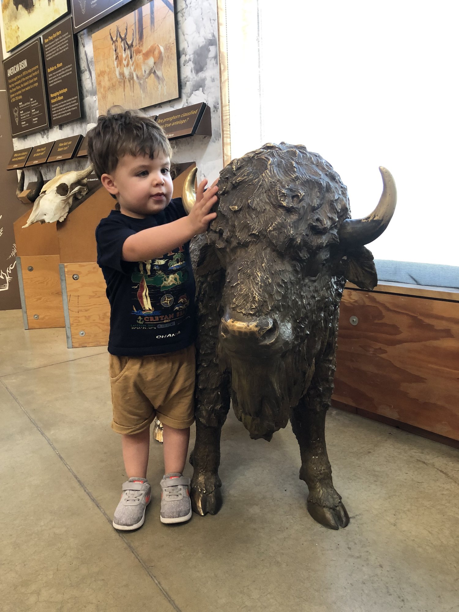 Making friends with a bison at the Antelope Island Visitors Center.
