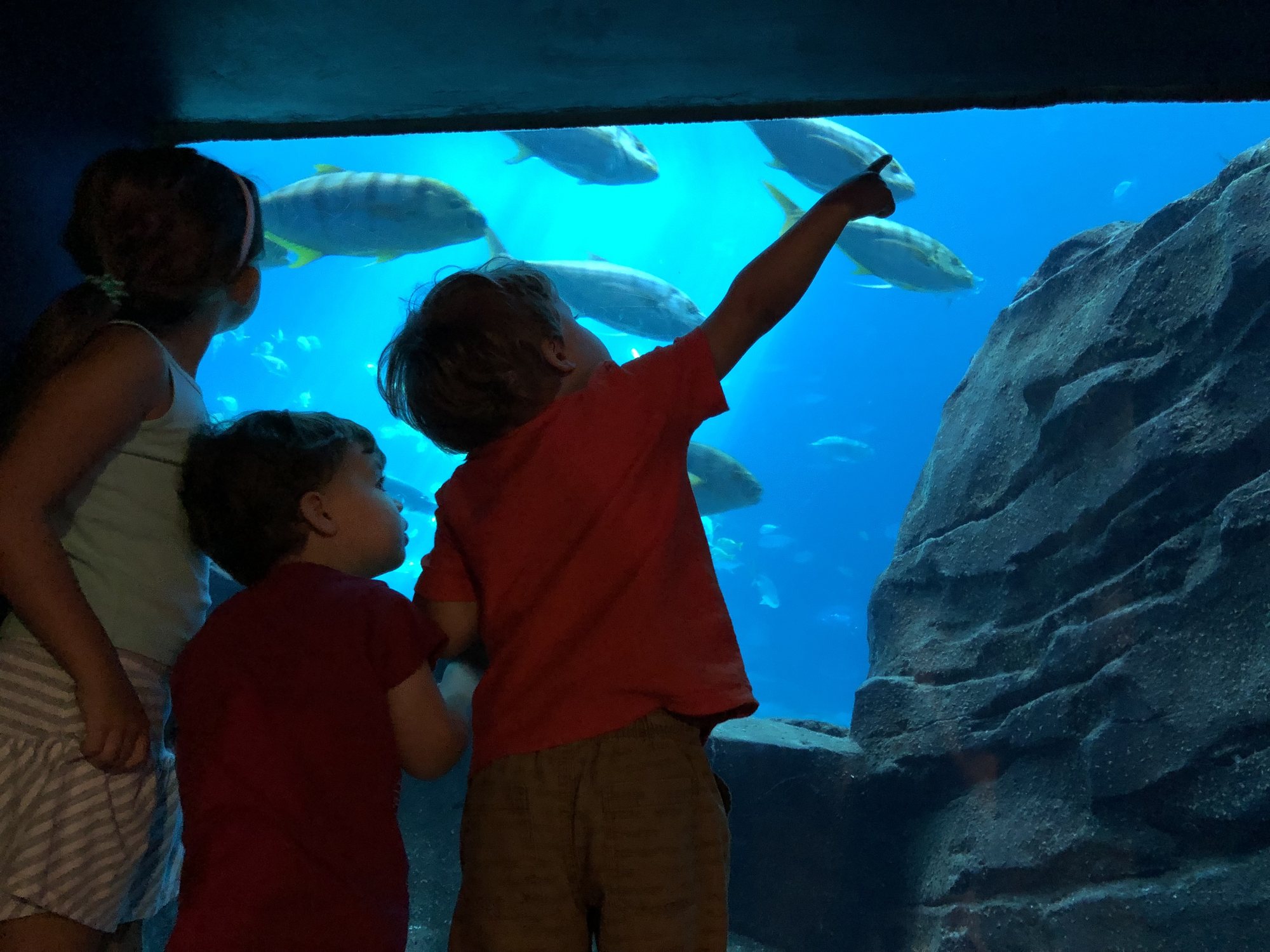 Checking out some fish with Brin and Milo.