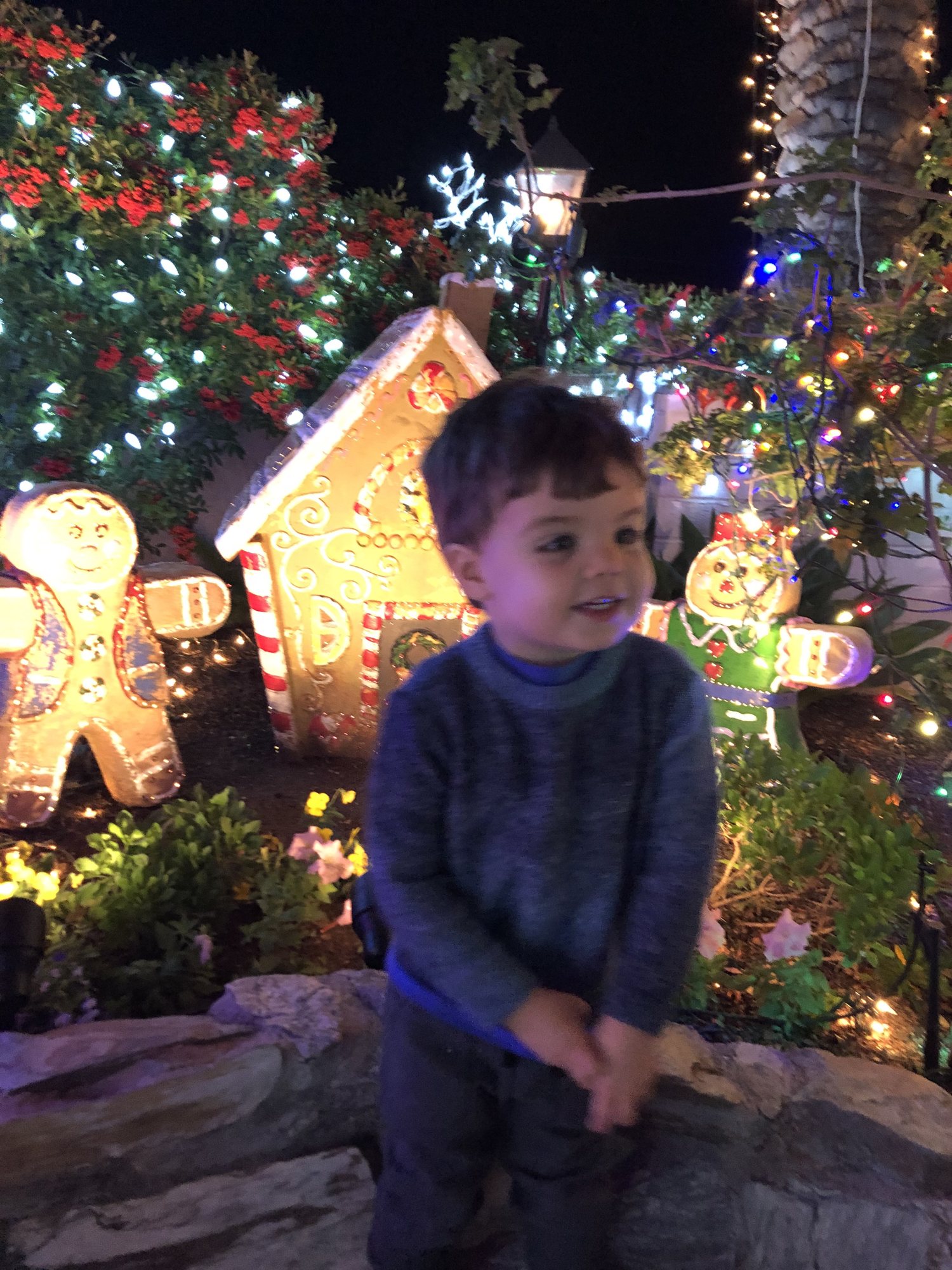 COULD NOT get him to hold still for this picture. He loved all the lights at the Arcadia Christmas House.