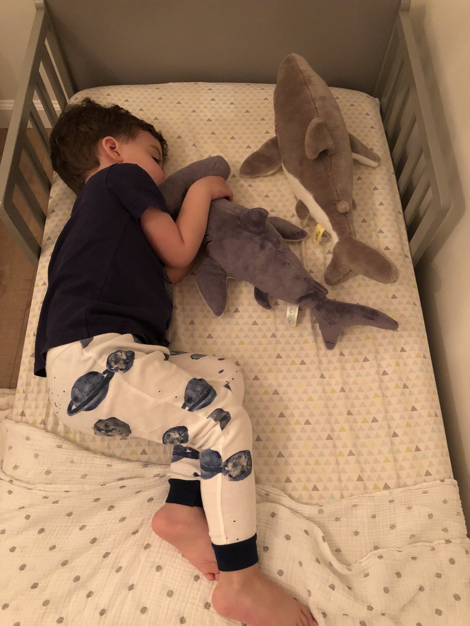 Ham-shark (or "Hammy") is his current favorite baby.