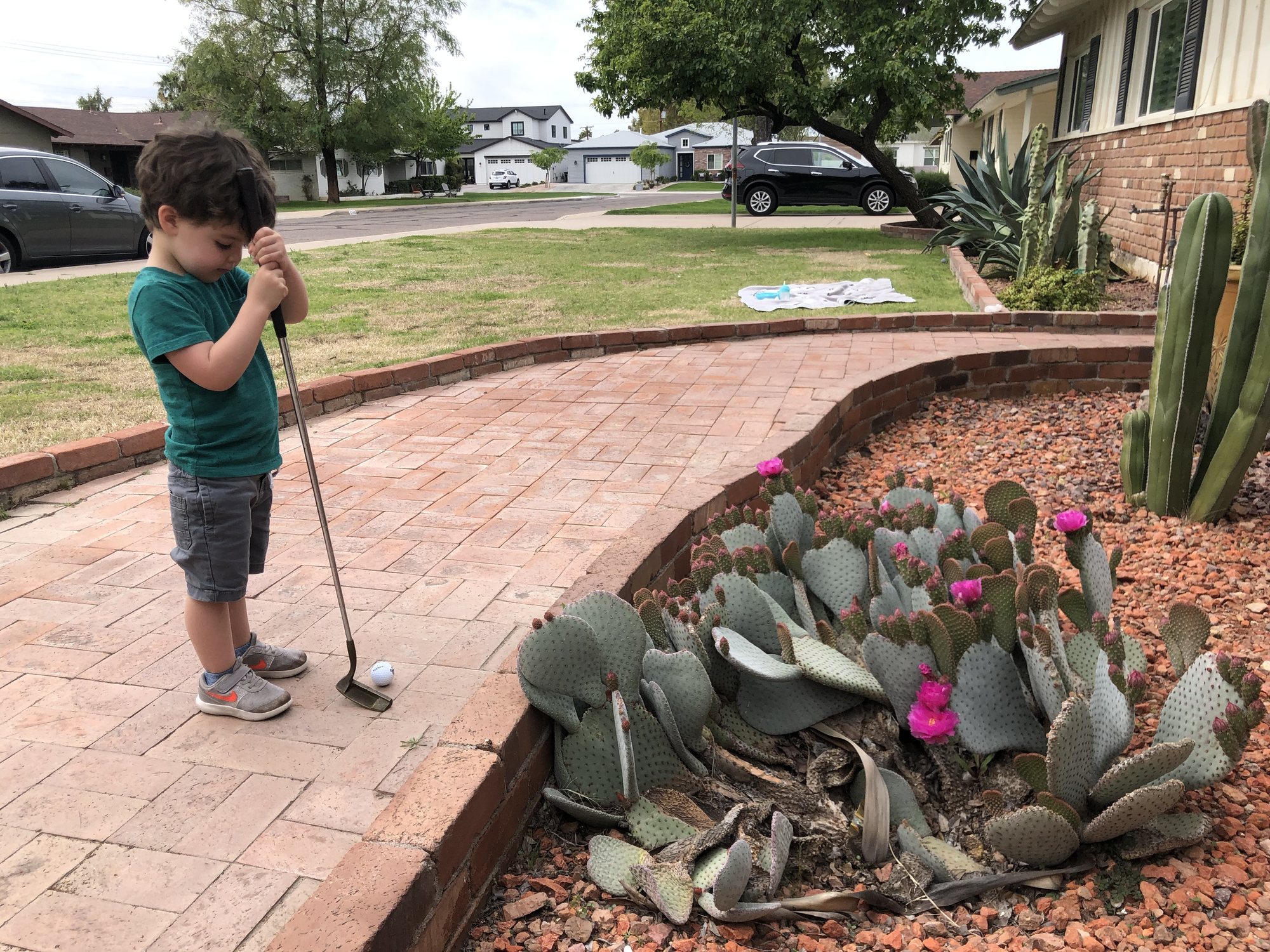 Ben is learning how to golf - he has his own kids clubs, but likes Craig's more :)