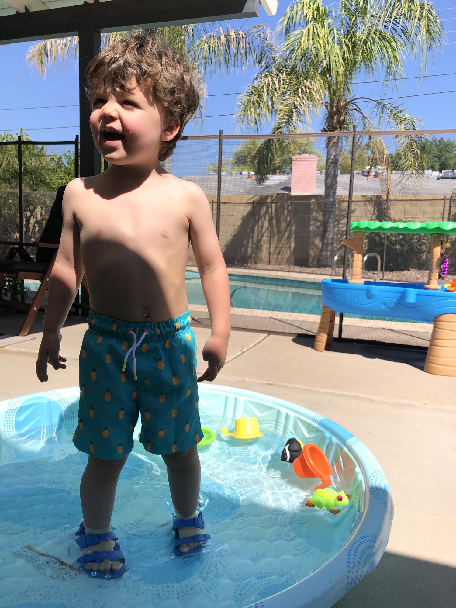 Thank goodness for $10 kiddie pools to keep us cool while we wait for our big pool to warm up!