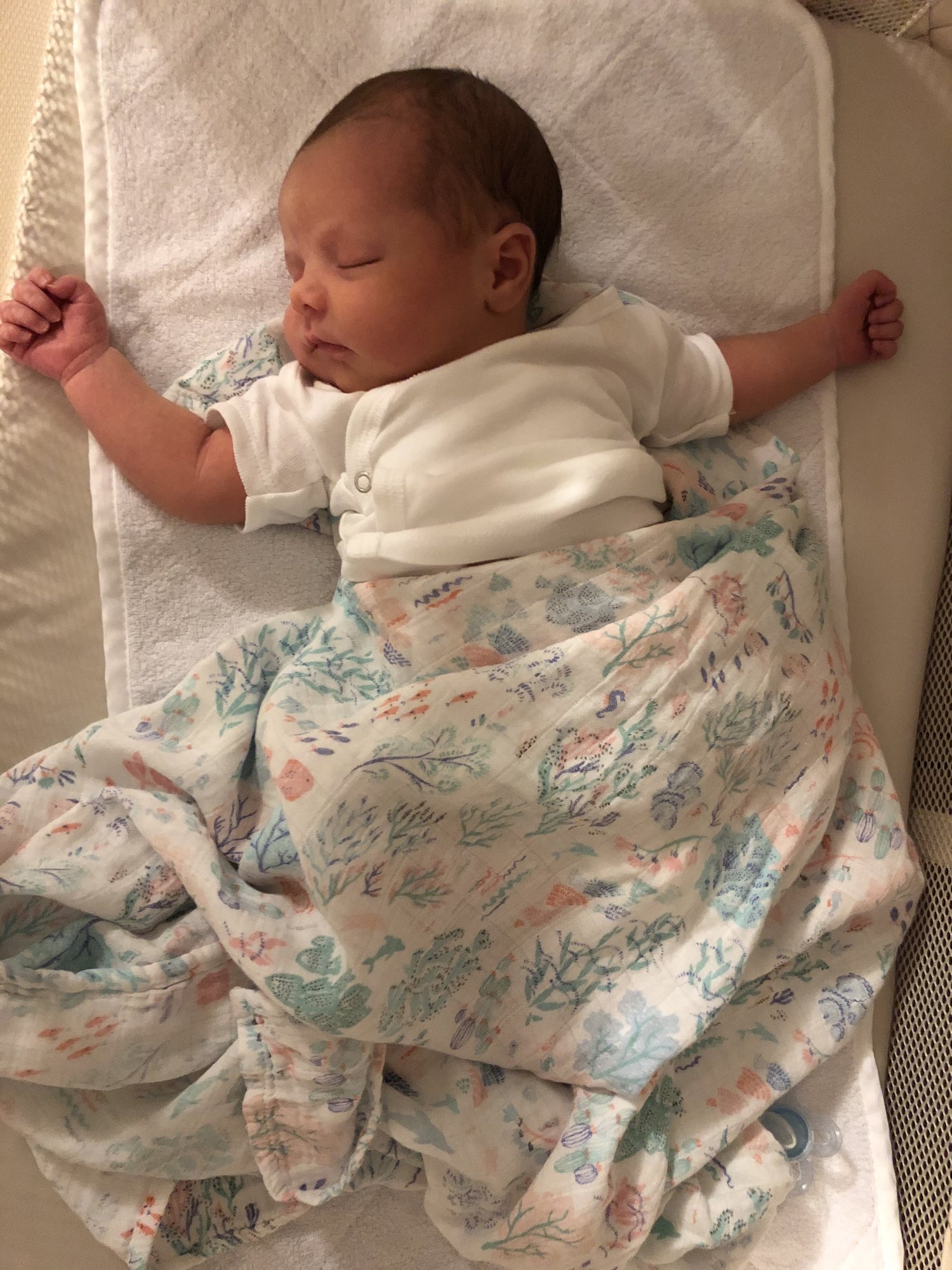 Sleeps just like her big brother.