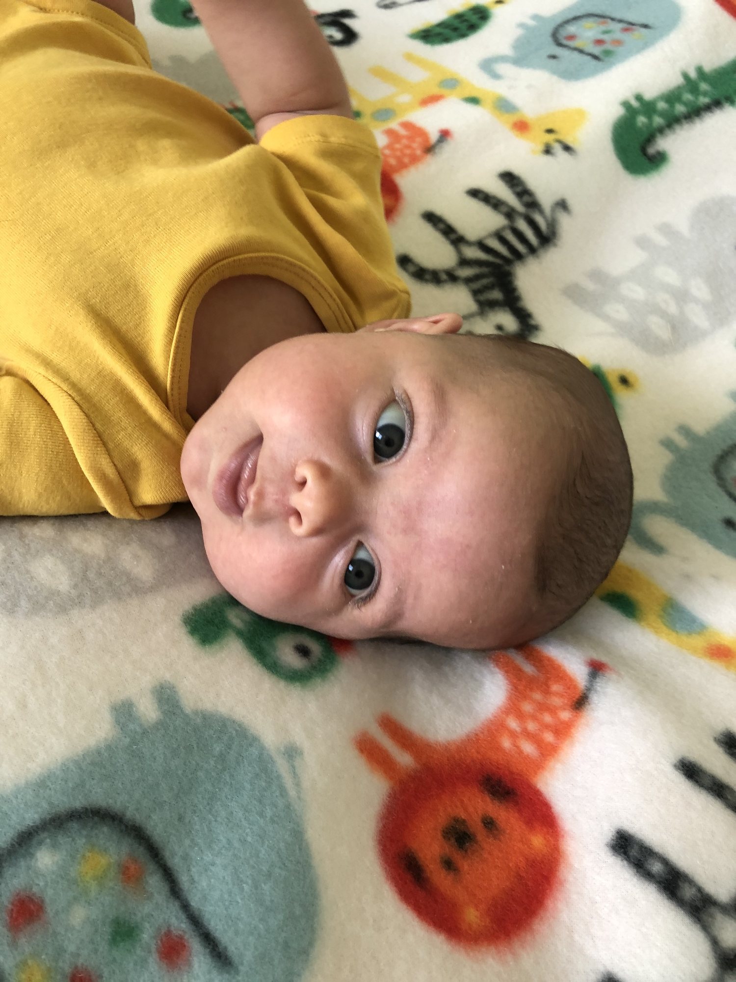 Hanging out on Mema's blanket!
