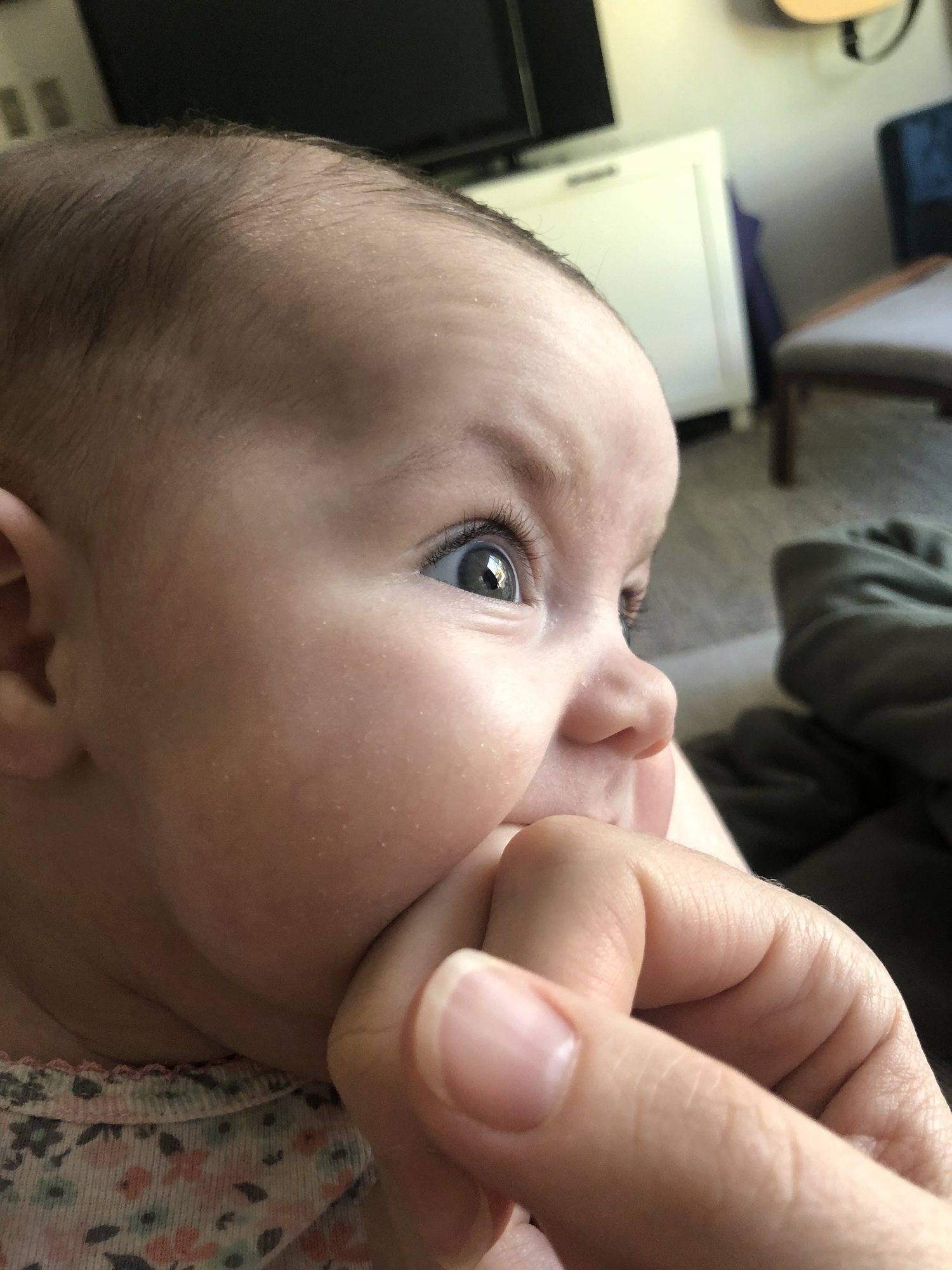 Don't let her cute looks fool you, she's a vicious finger chomper!