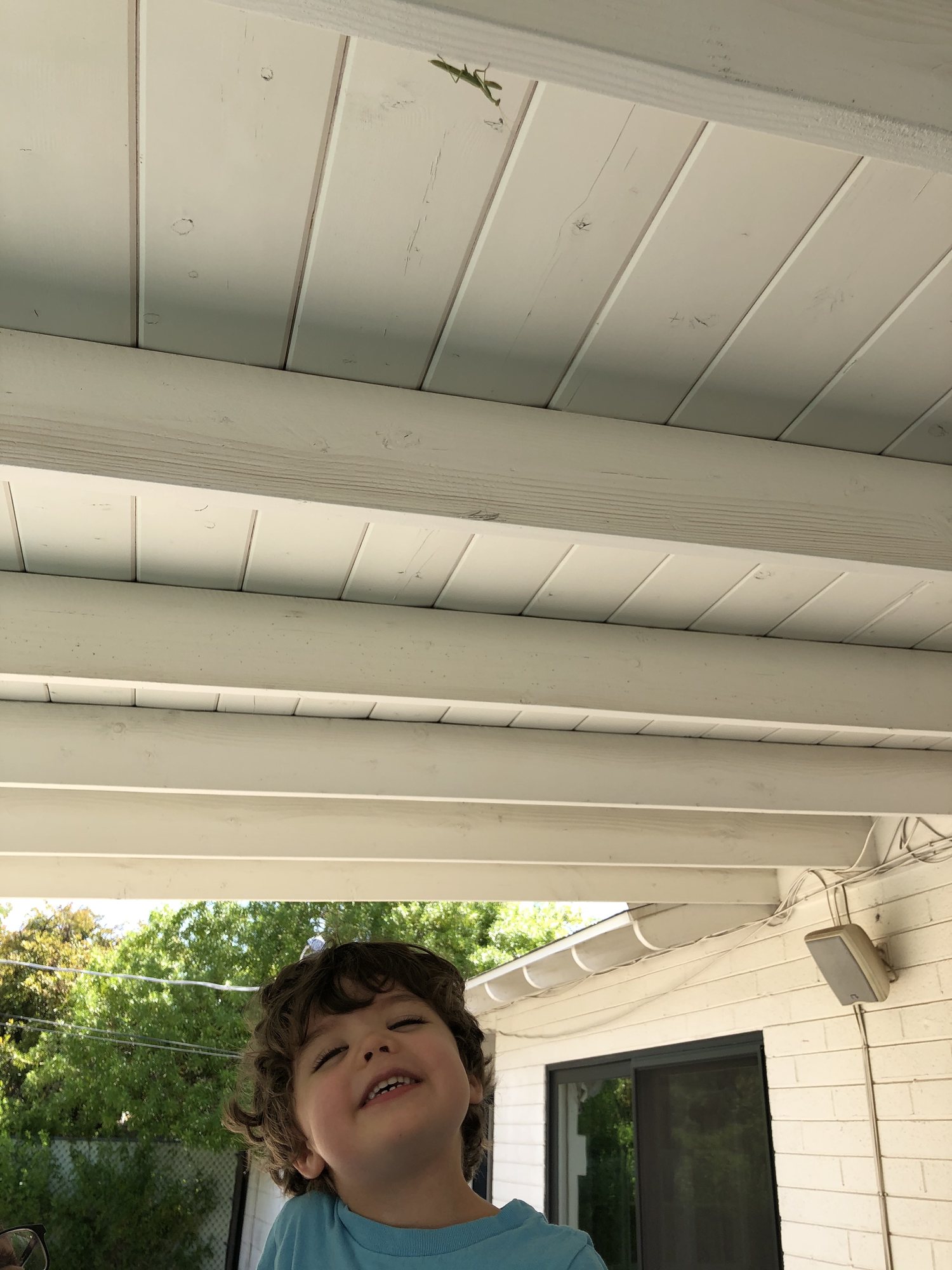 Ben meets his first praying mantis!