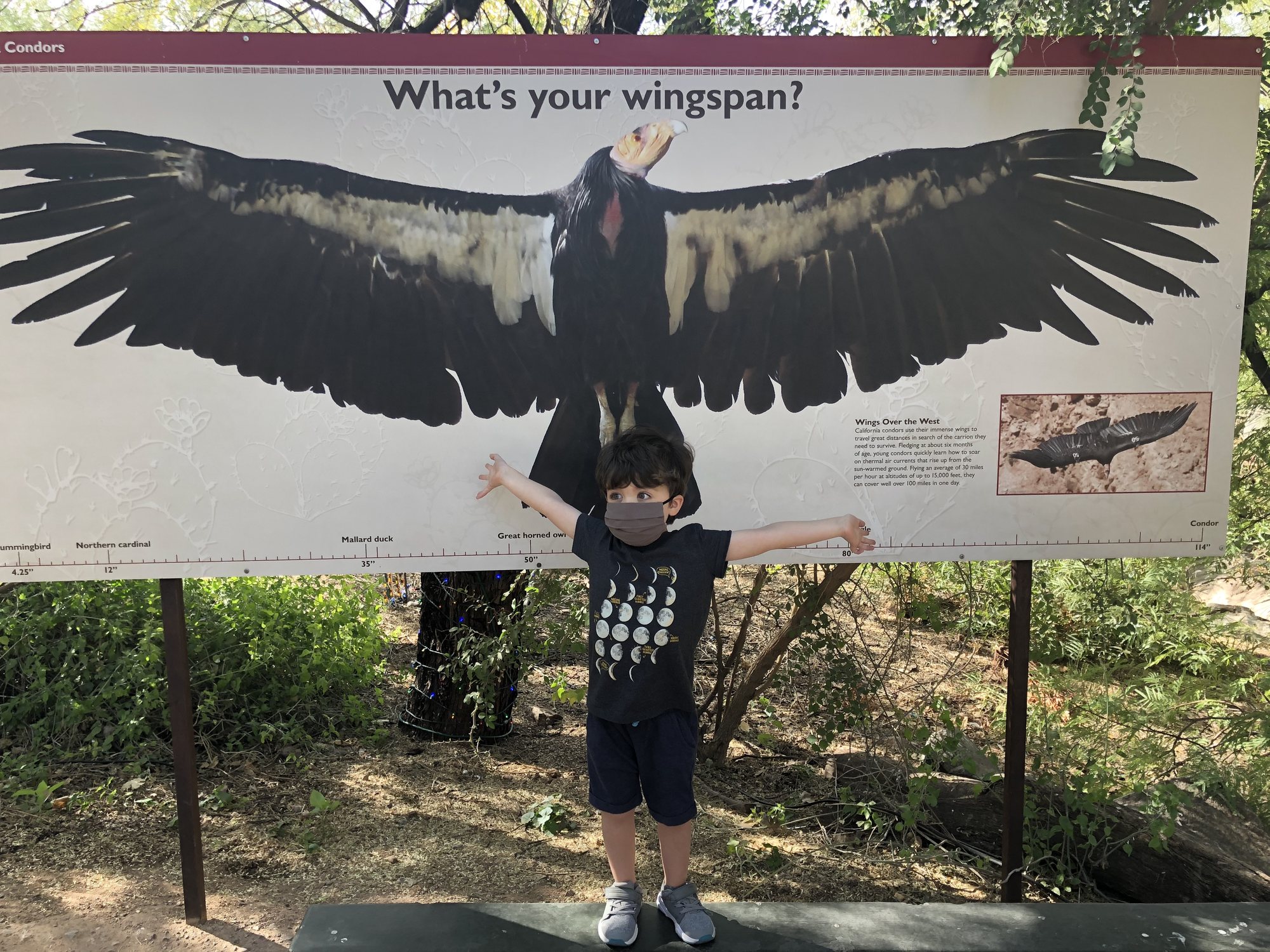 Phoenix Zoo visit!