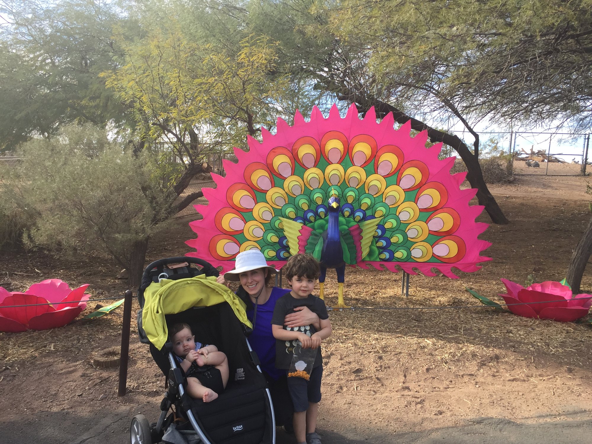 Phoenix Zoo visit