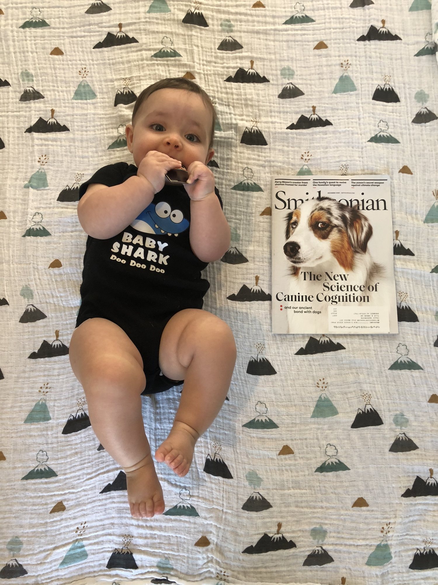 Nori turns 7 months old!!! We had to let her eat an Uno card to get this pic :)