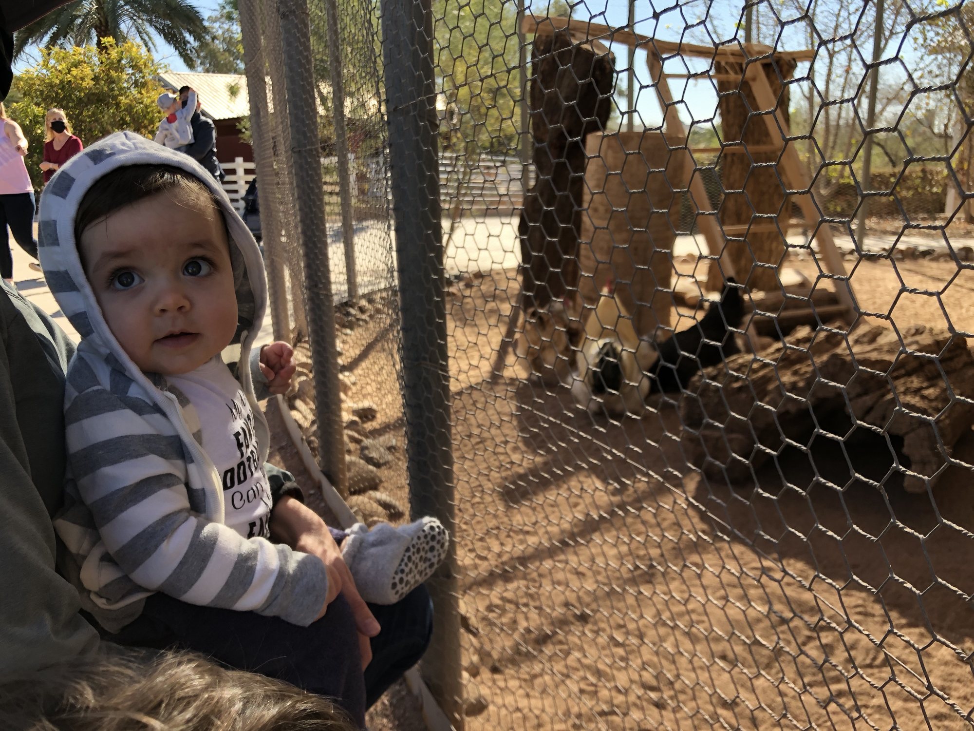 Something about babies and chickens. Ben also loved these guys at Nora's age!