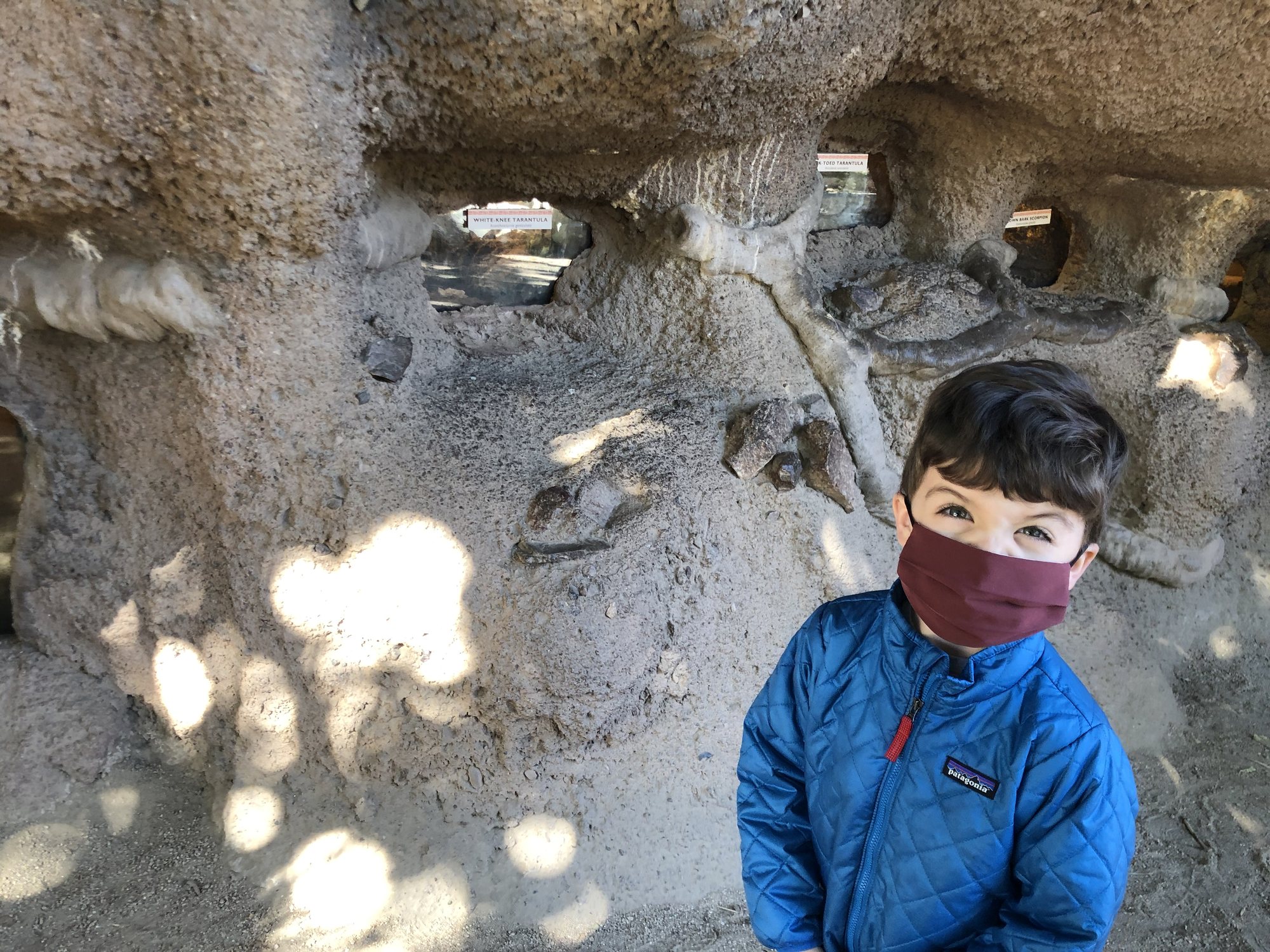 Trip to the zoo. He really wanted his picture taken with the tarantulas! :)