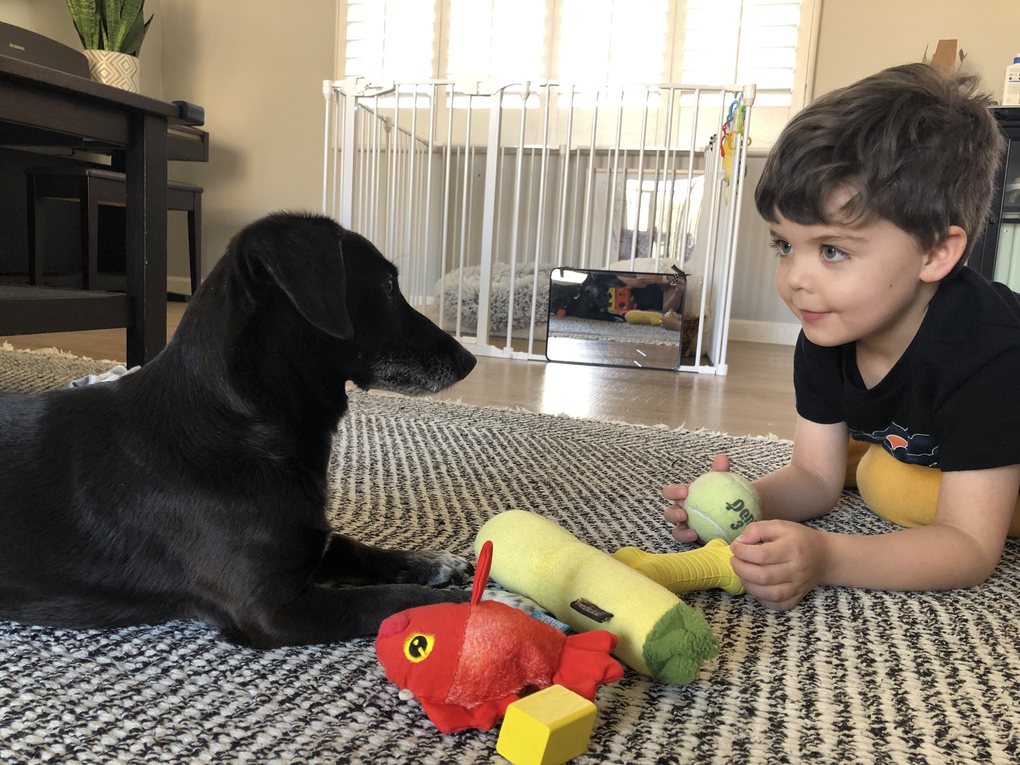 I believe Ben was trying to complete some transaction with Vincent here.