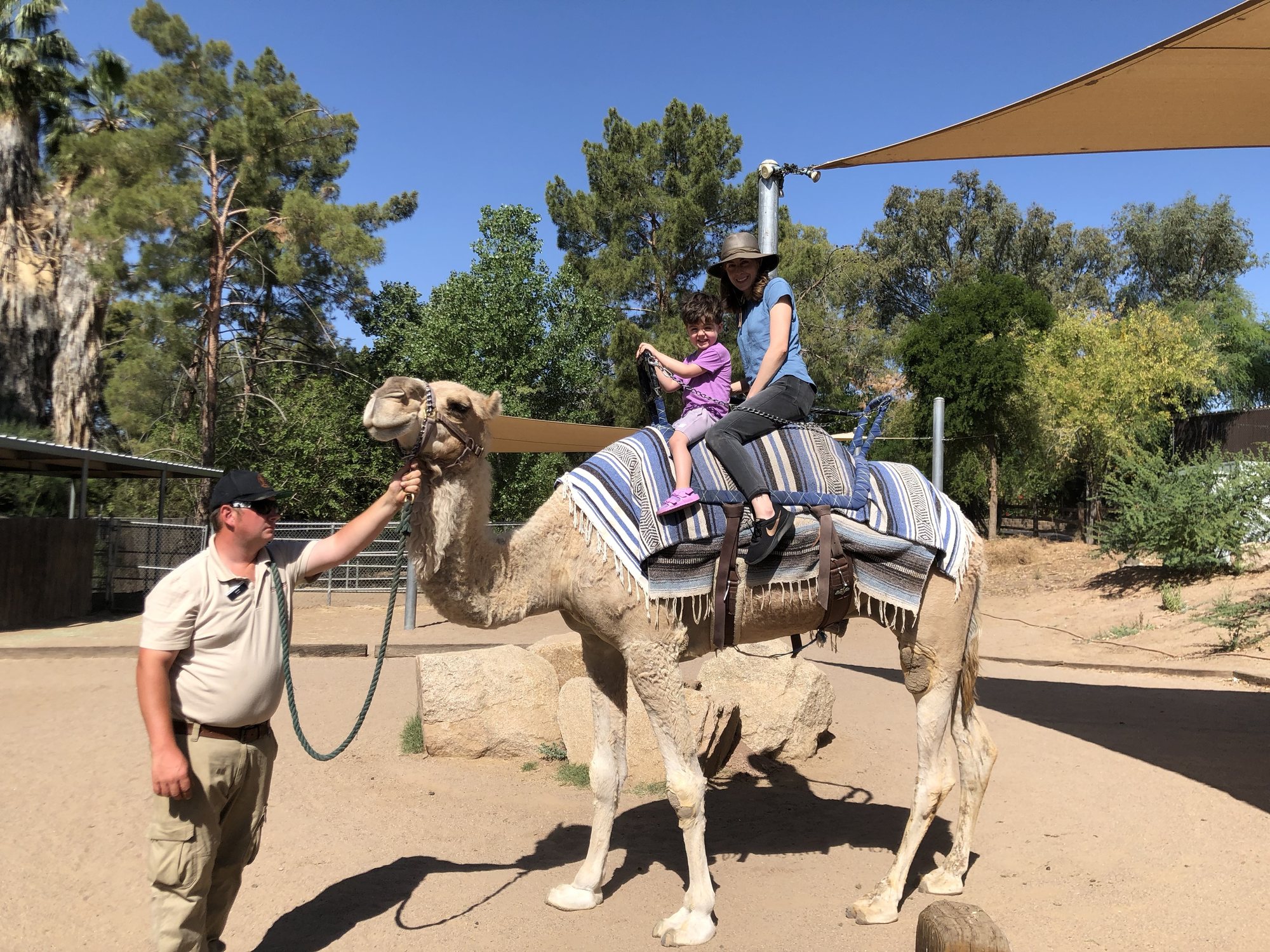 Camel ride with Ben! I think this was Isaac the Camel (?)