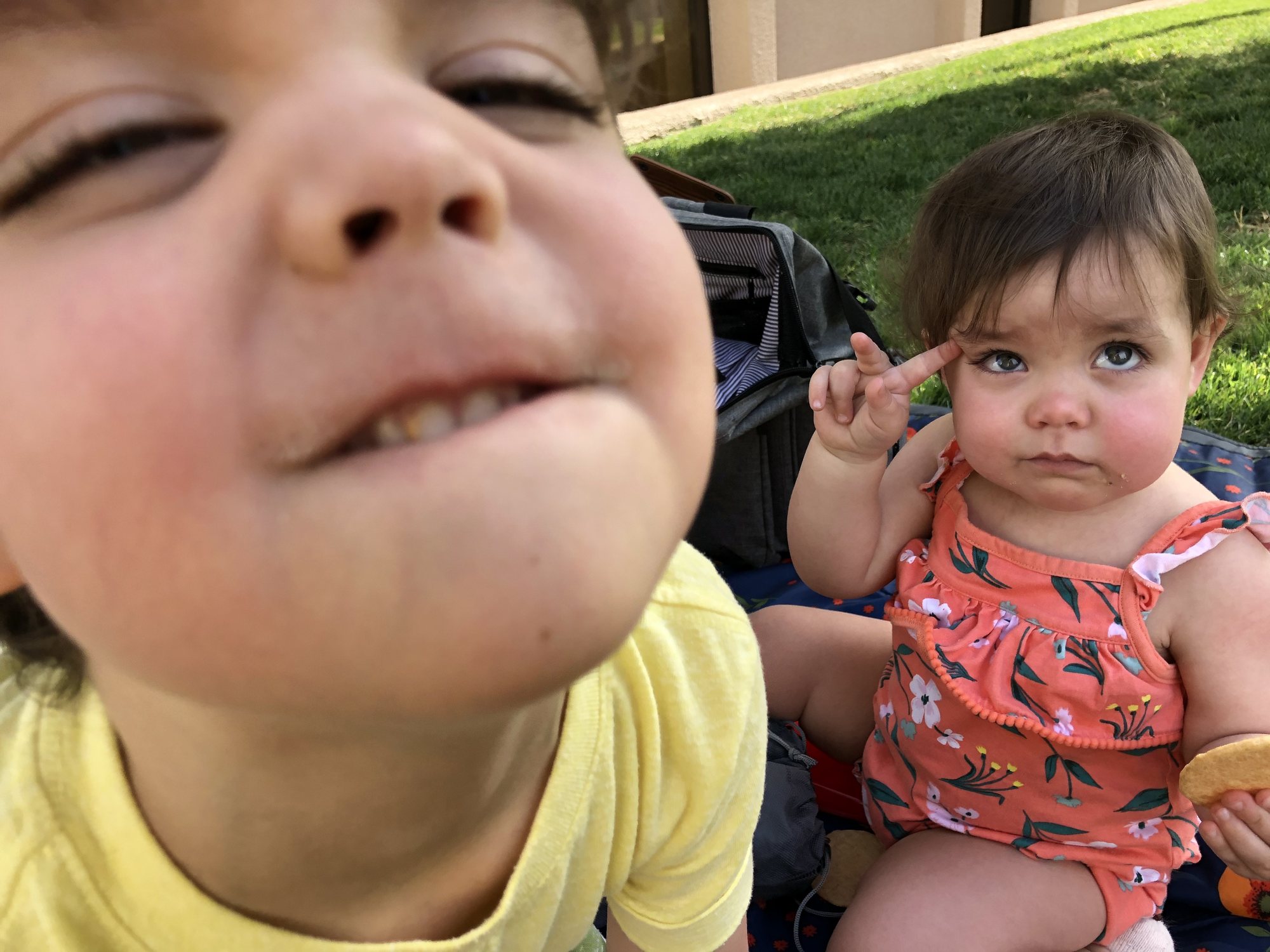 Just trying to get a cute picture of these two. Lol.