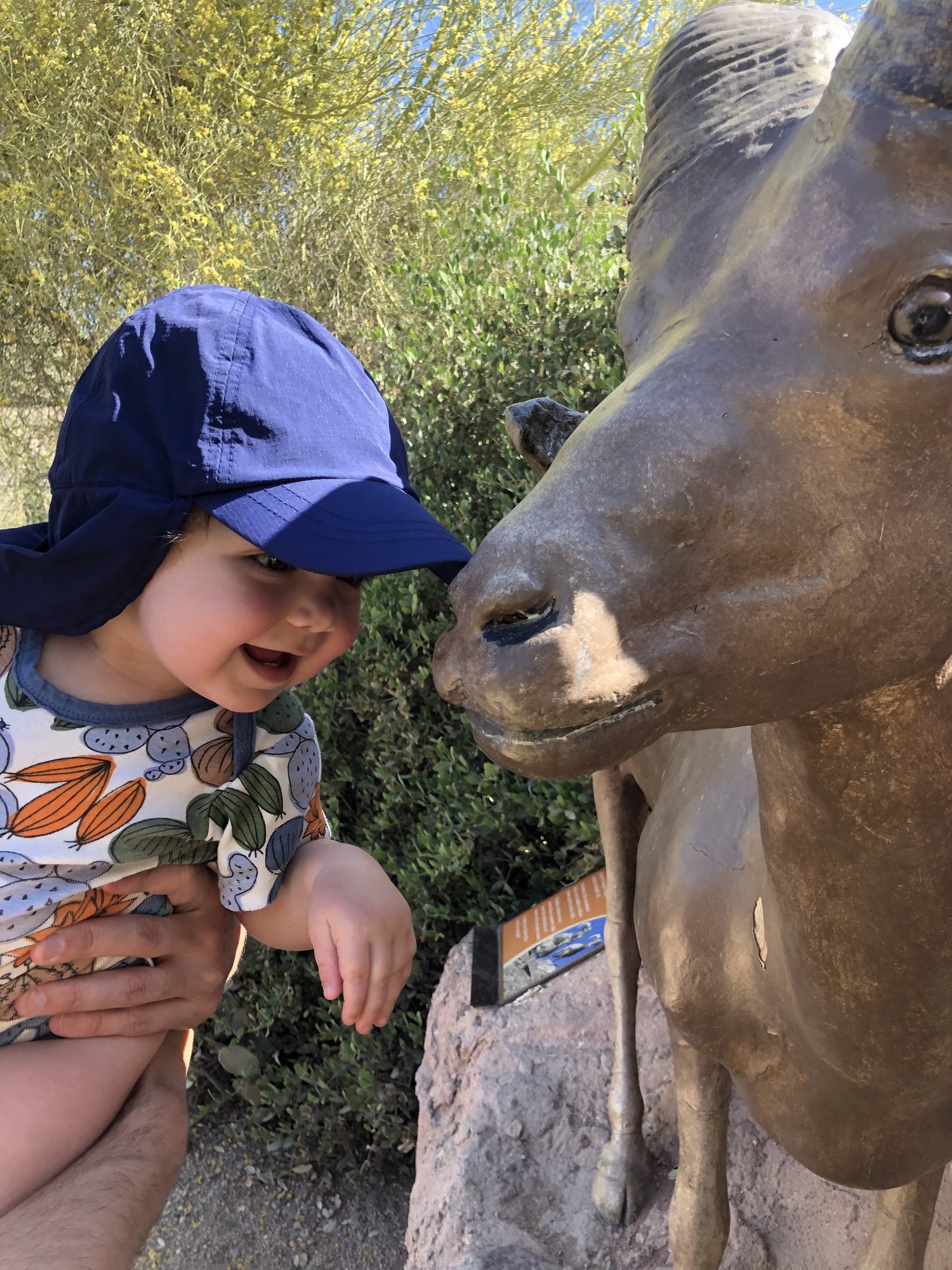 Nora says hi to a big horn sheep. BAAA!