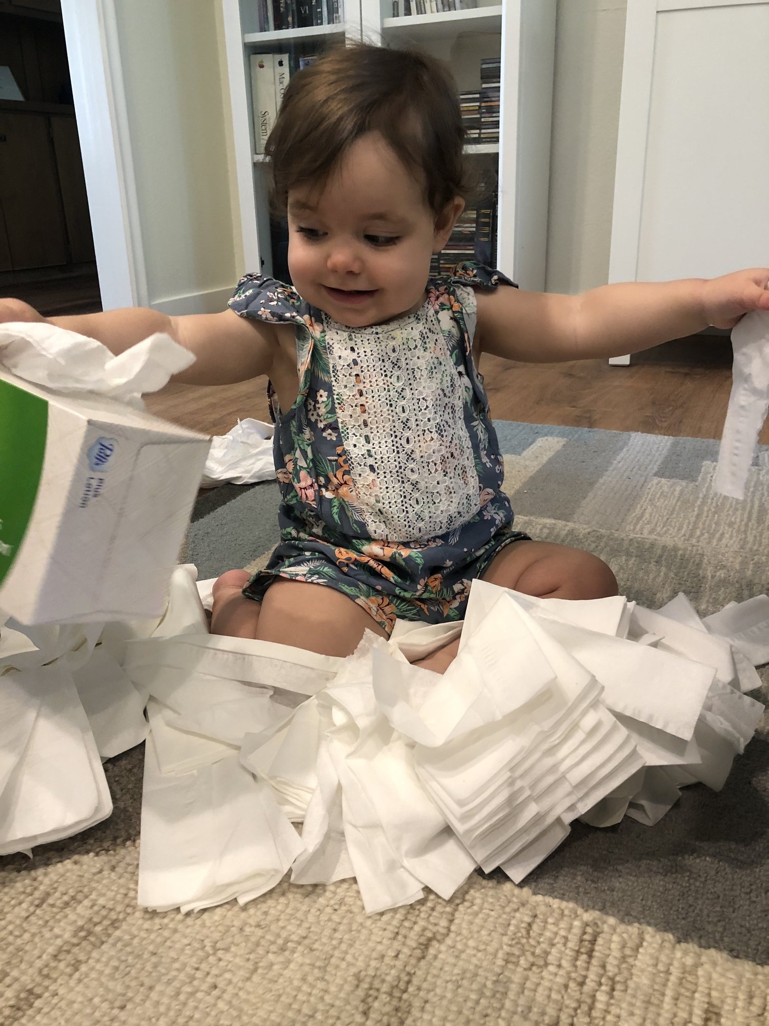 Nora, the Tissue-Destroy-a!