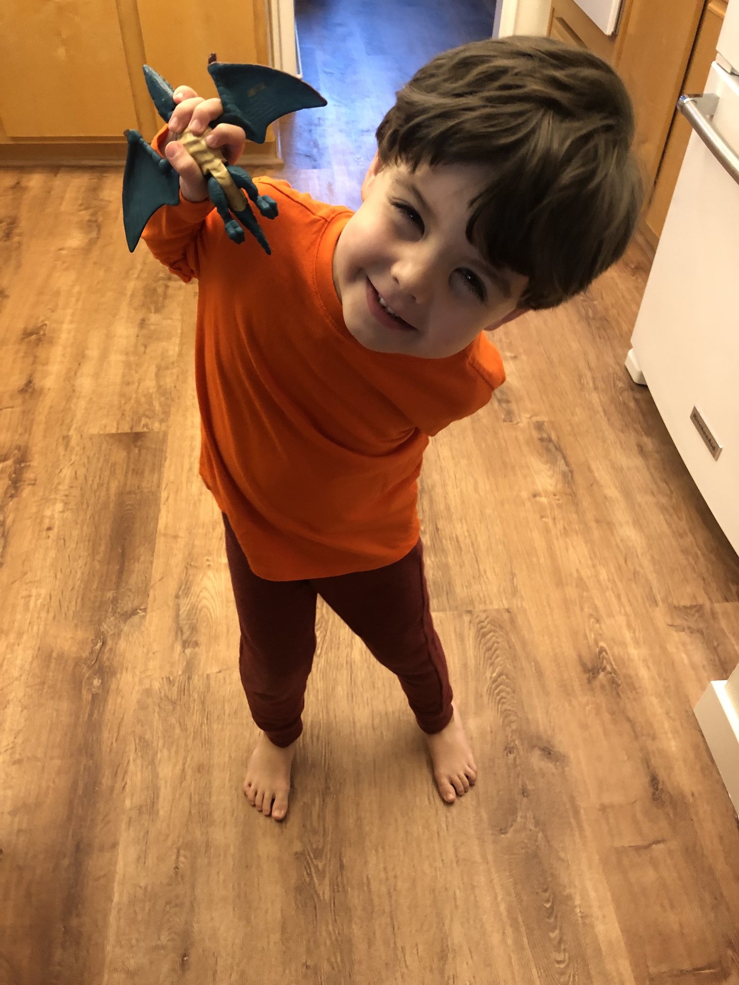 This one loves his dinosaurs!