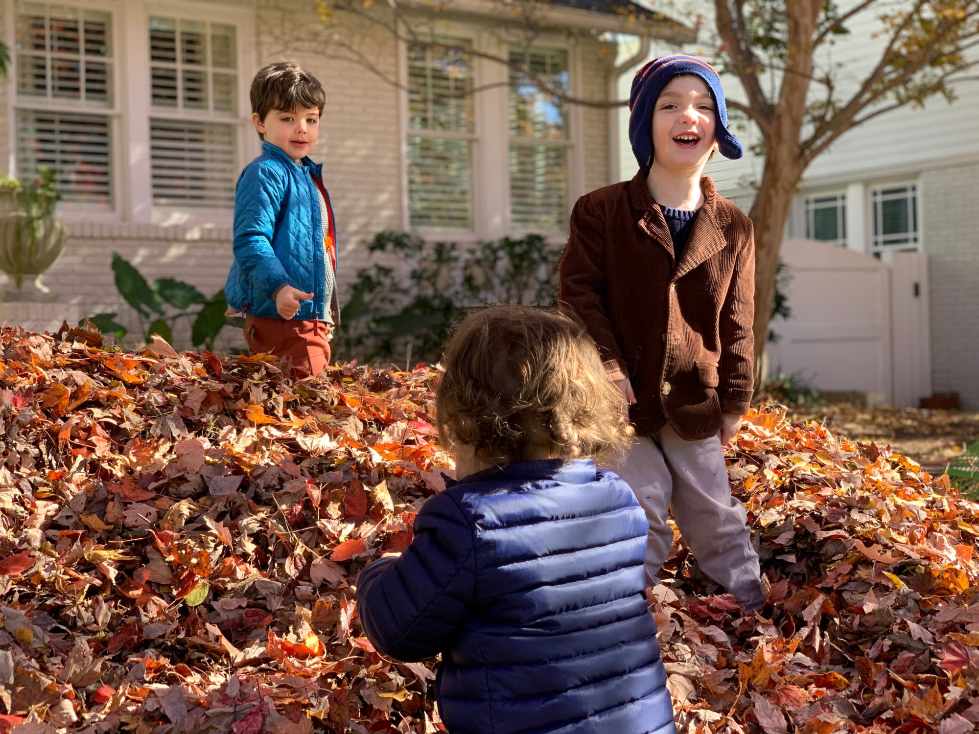 More leaves!!!