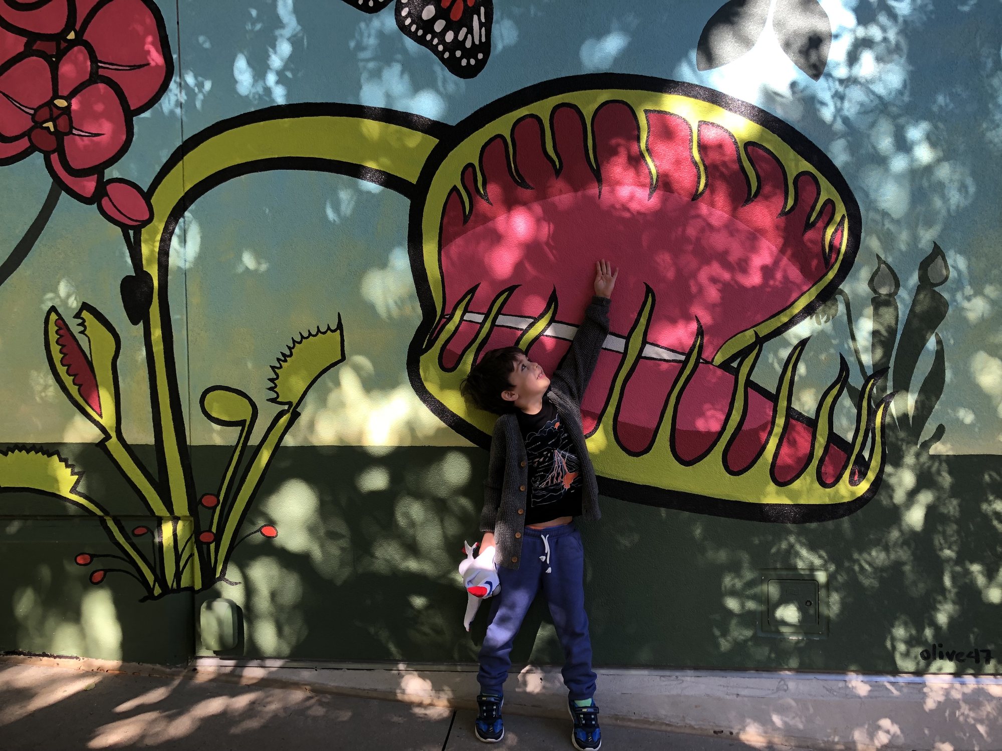 Ben at the Atlanta Botanical Gardens