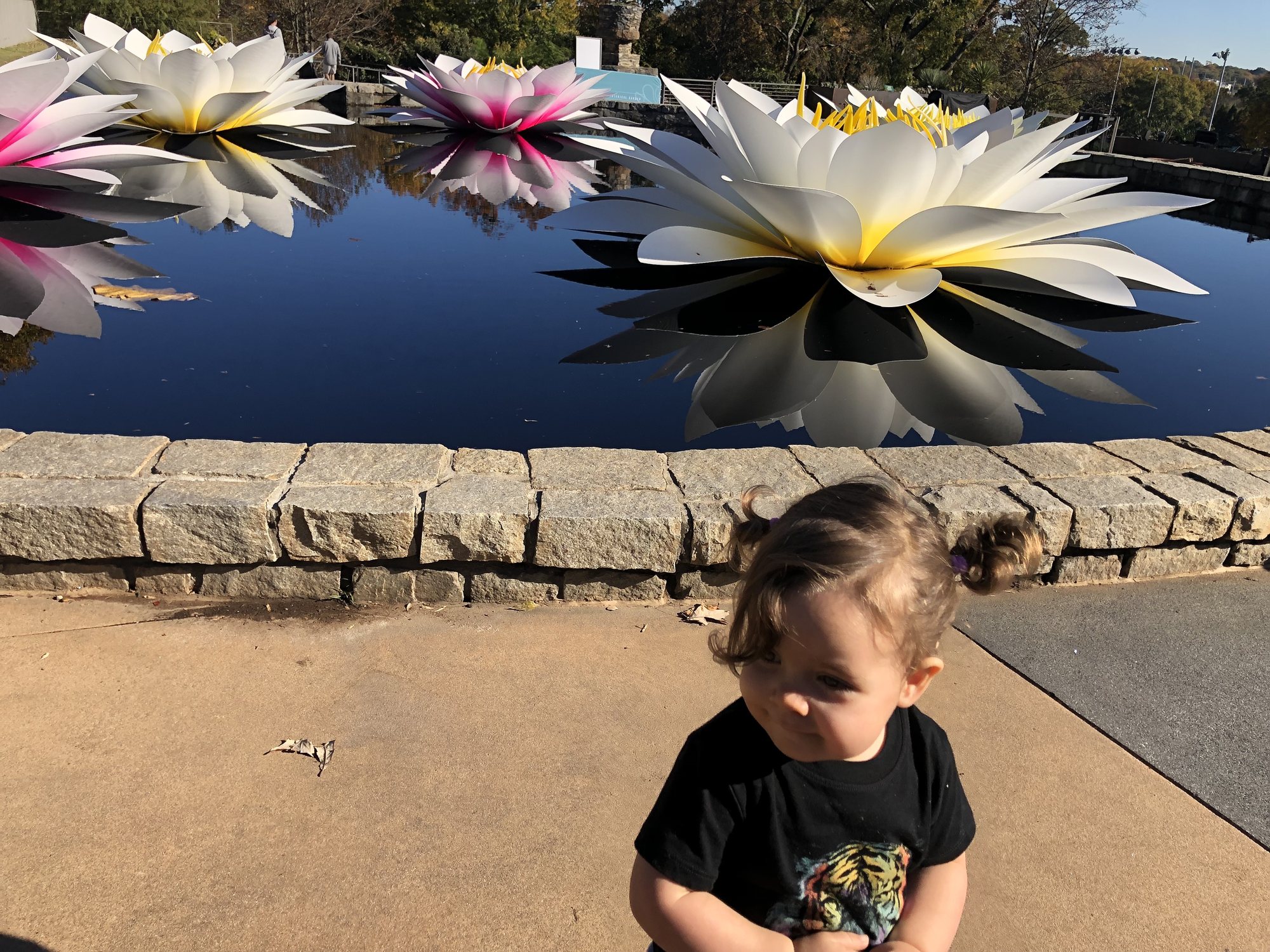 Pretty flowers. I can never quite get those pigtails even. Lol.