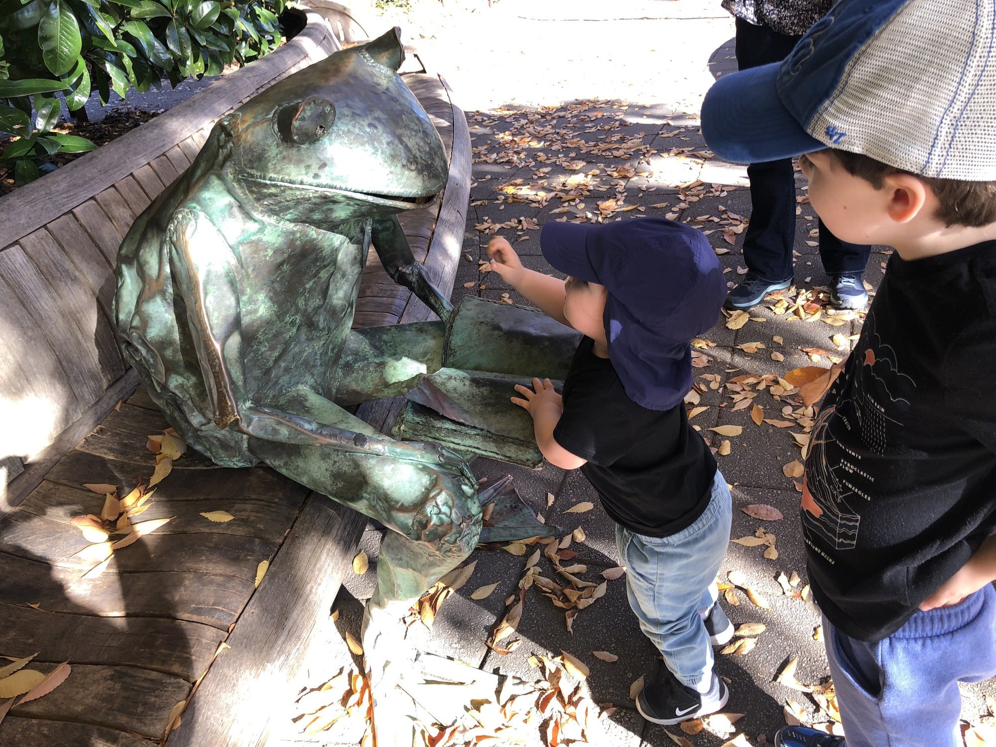 Feeding leaves to the frog.