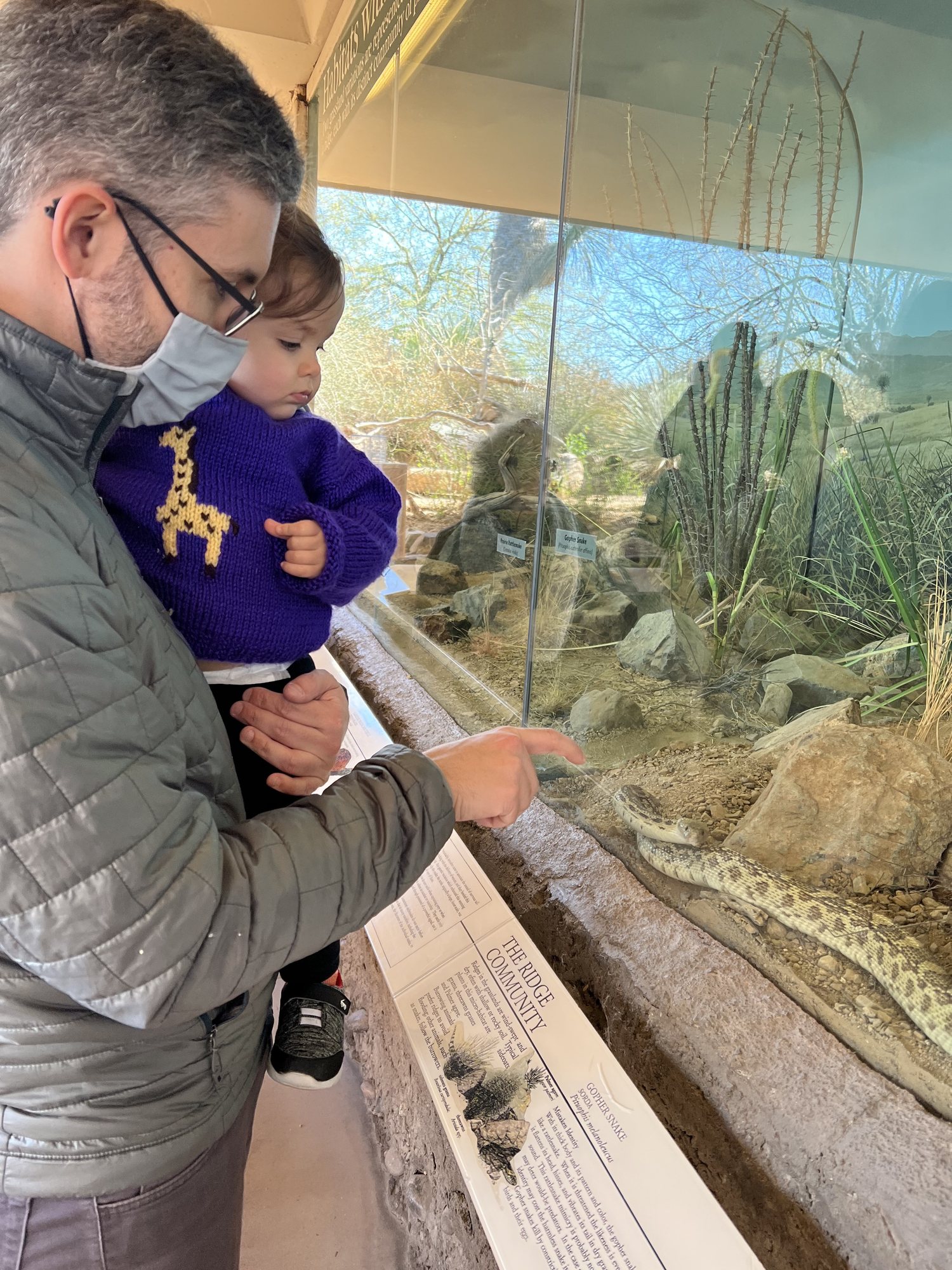 Sonoran Desert Museum. Nora is highly skeptical of that snake.