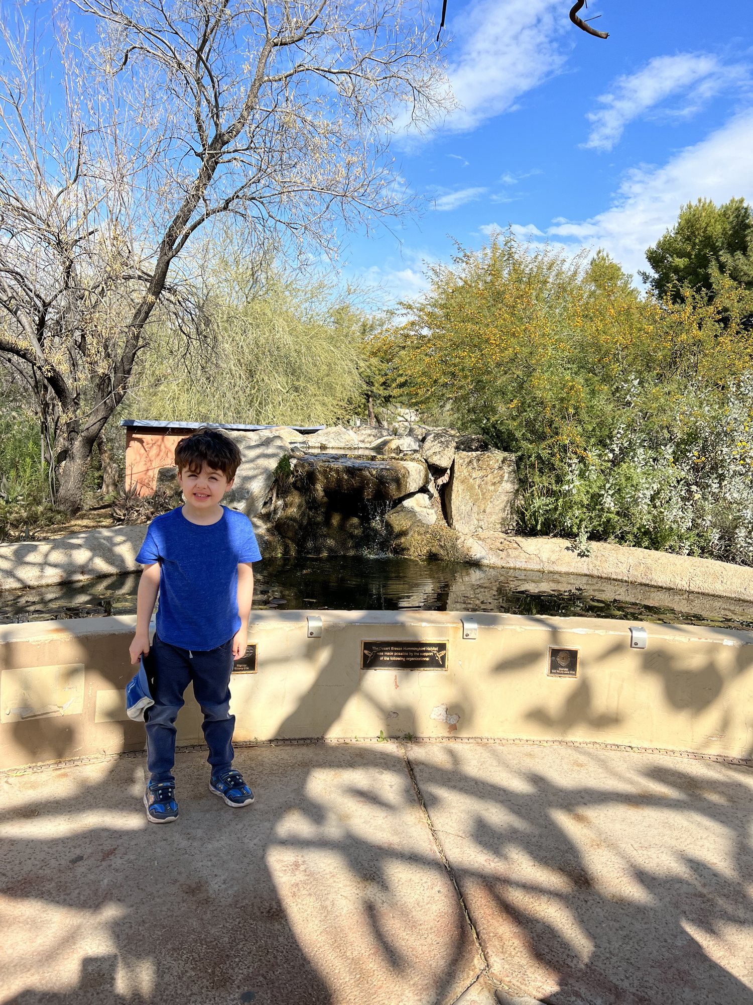 Hummingbird Habitat at Desert Breeze Park.