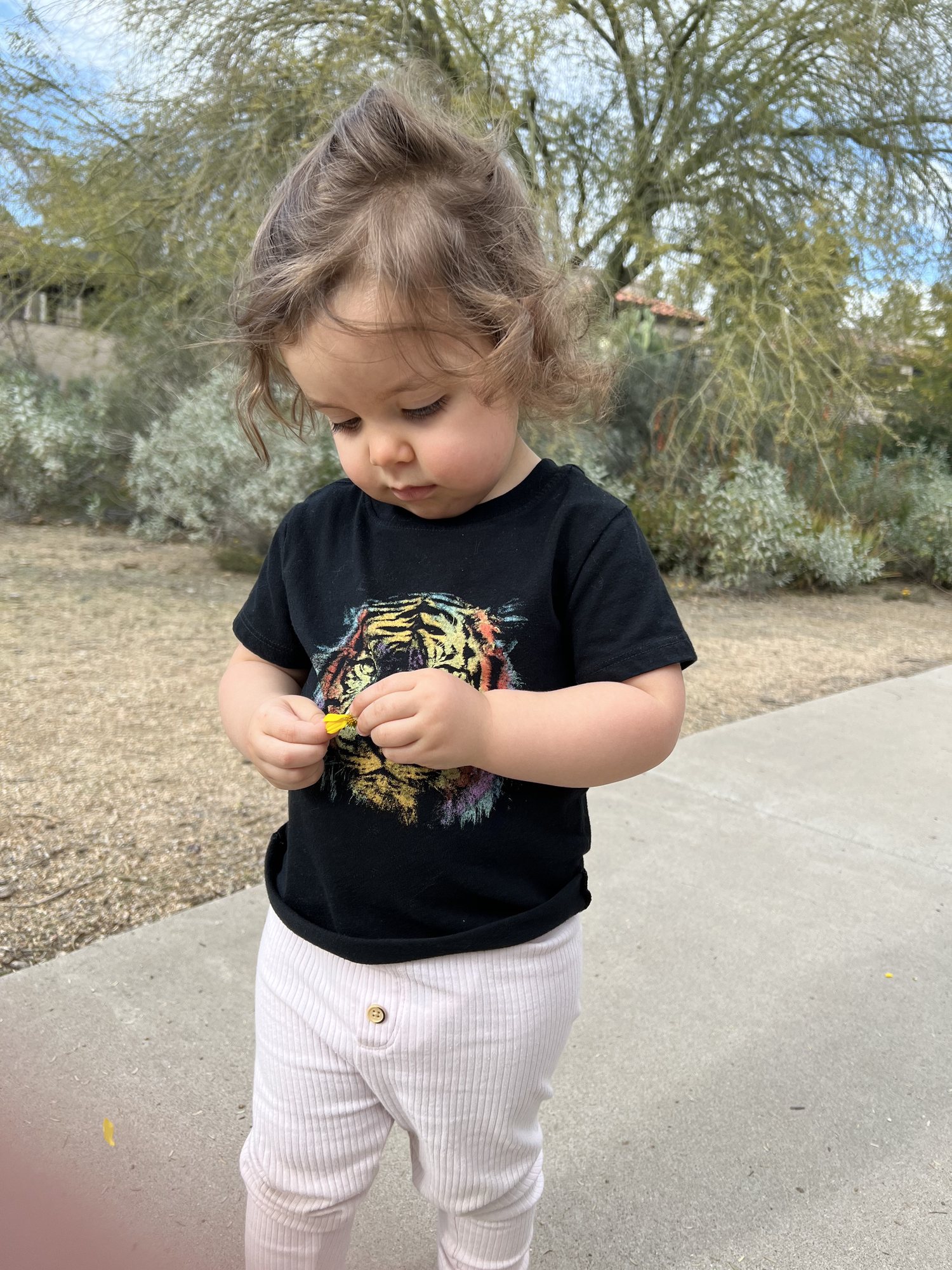 Checking out a flower