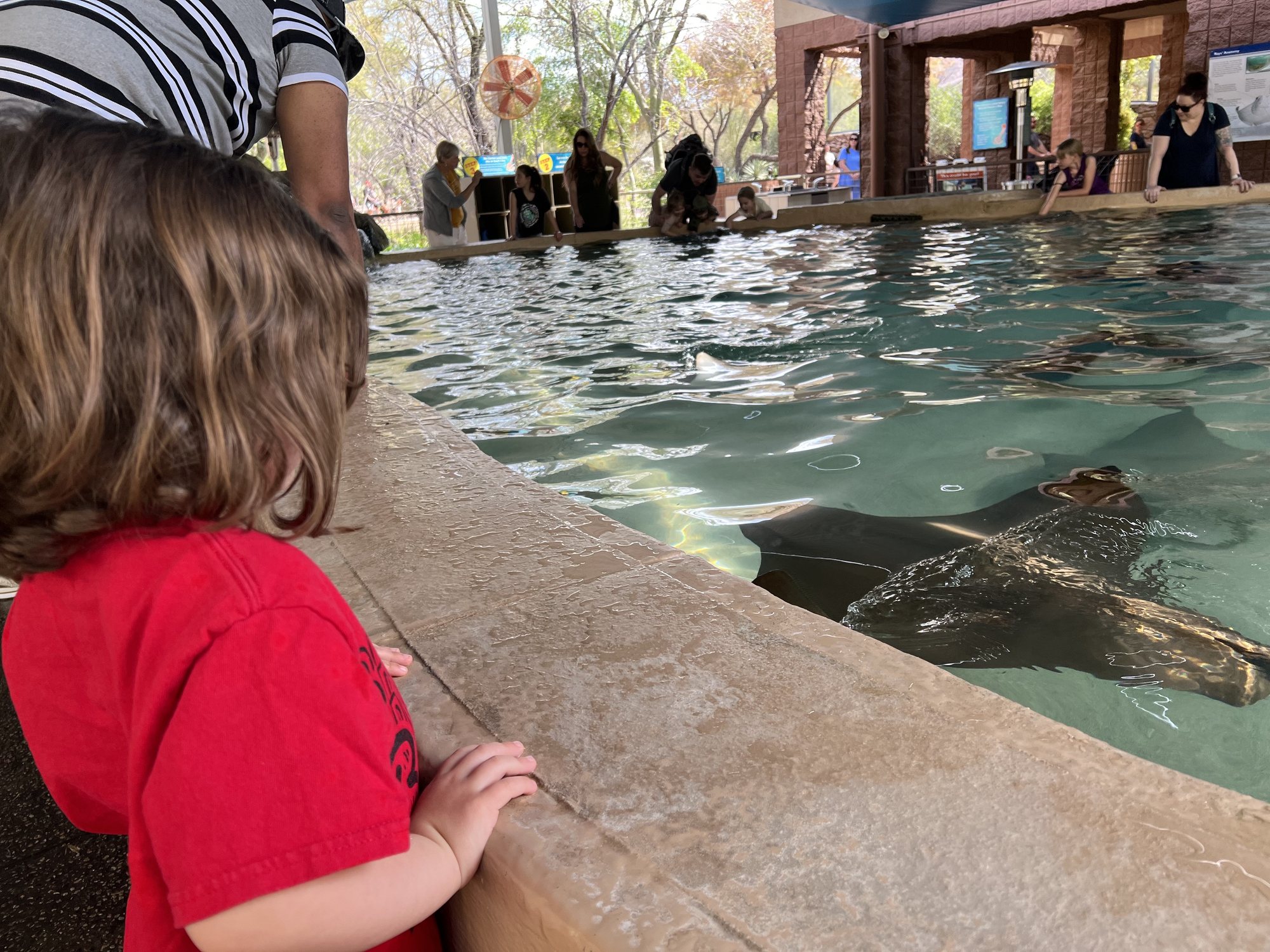 Time at the zoo before picking Craig and Ben up at the airport.