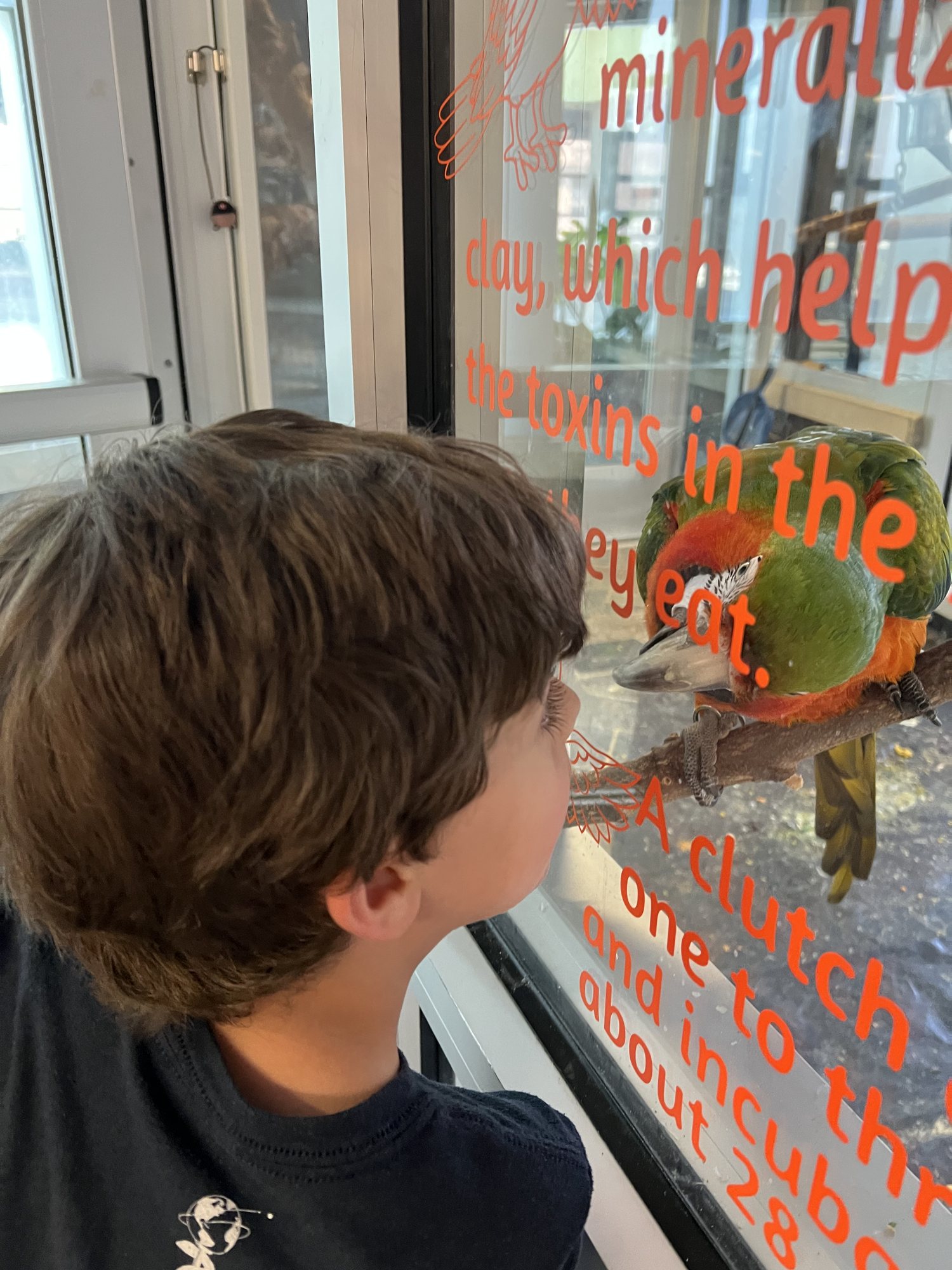 Ben making friends at the Science Museum.