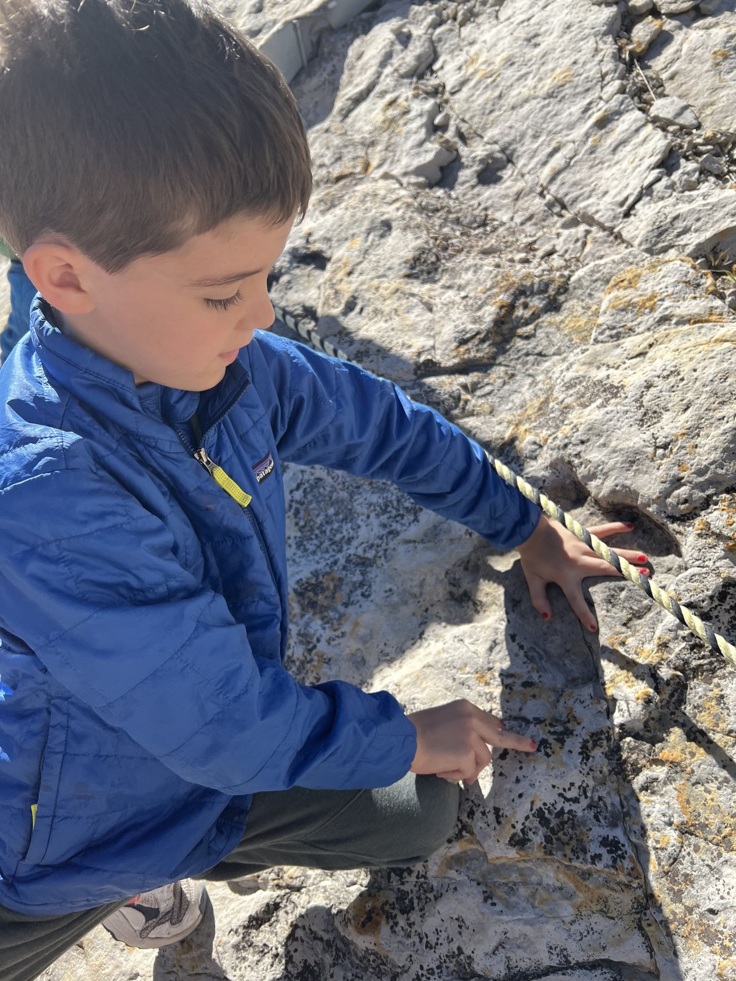 Ben's hand in a baby iguanadon's footprint. 
