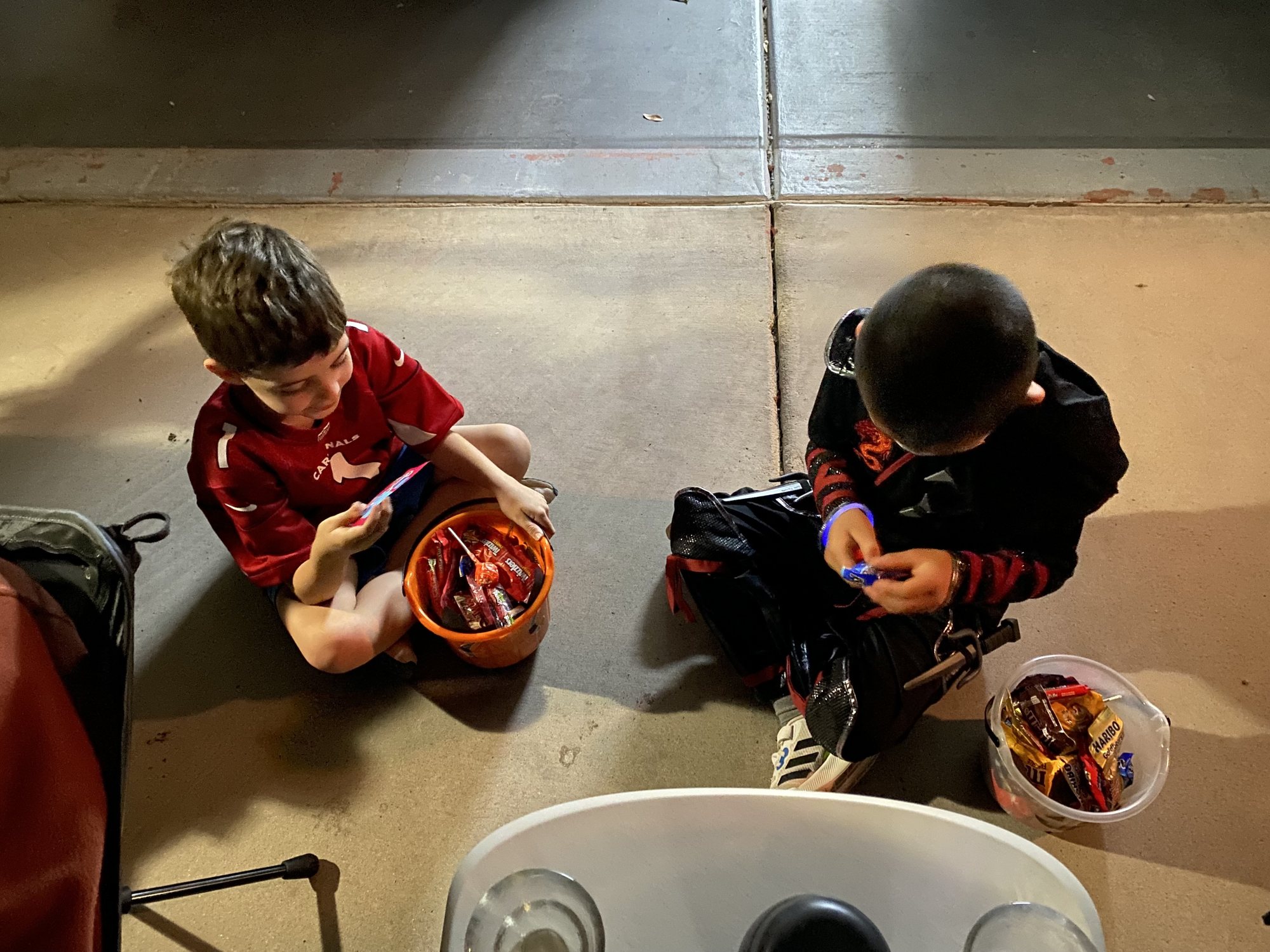 Inspecting their haul :)