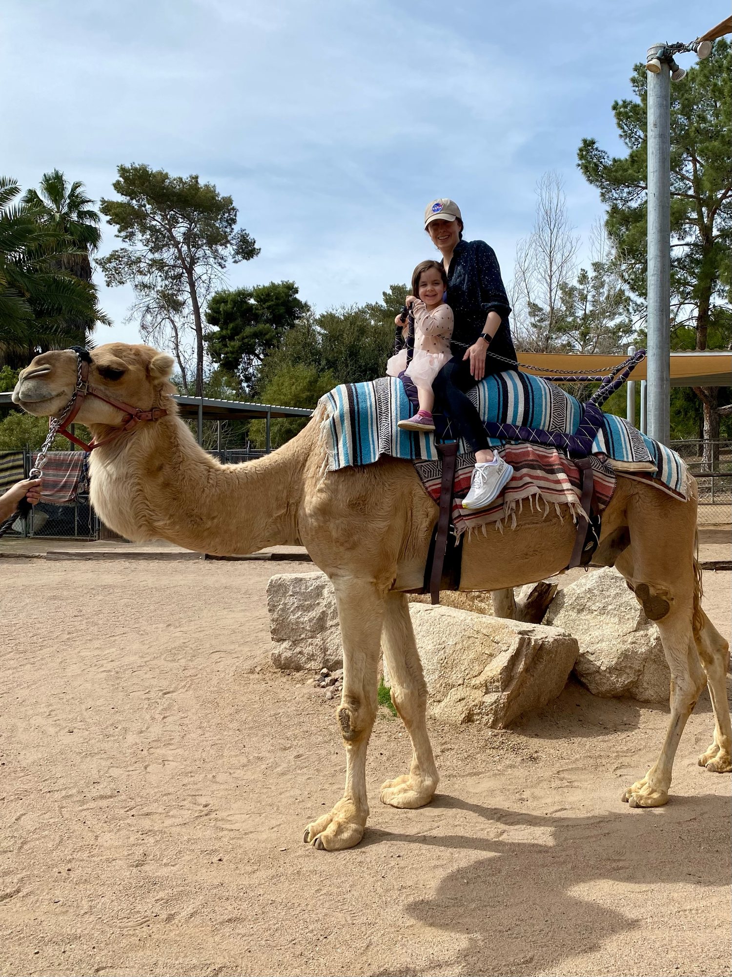 Camel ride at the Phoenix Zoo!