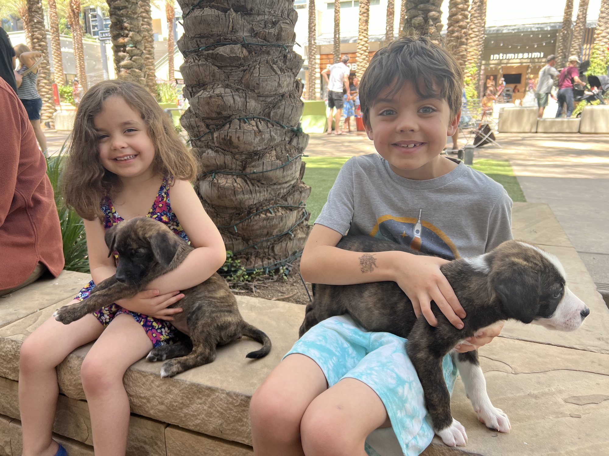 Meeting some puppies after lunch :)