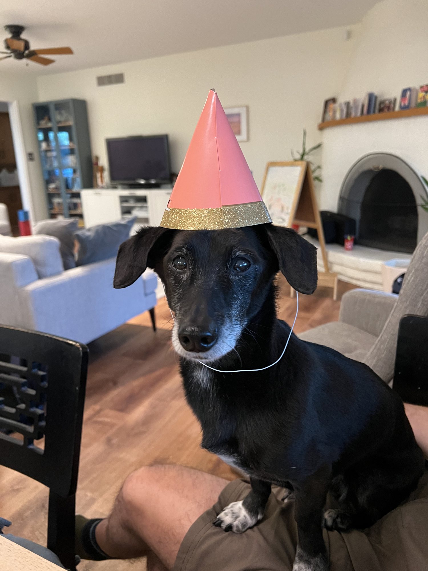 See? Always ready for a party :)