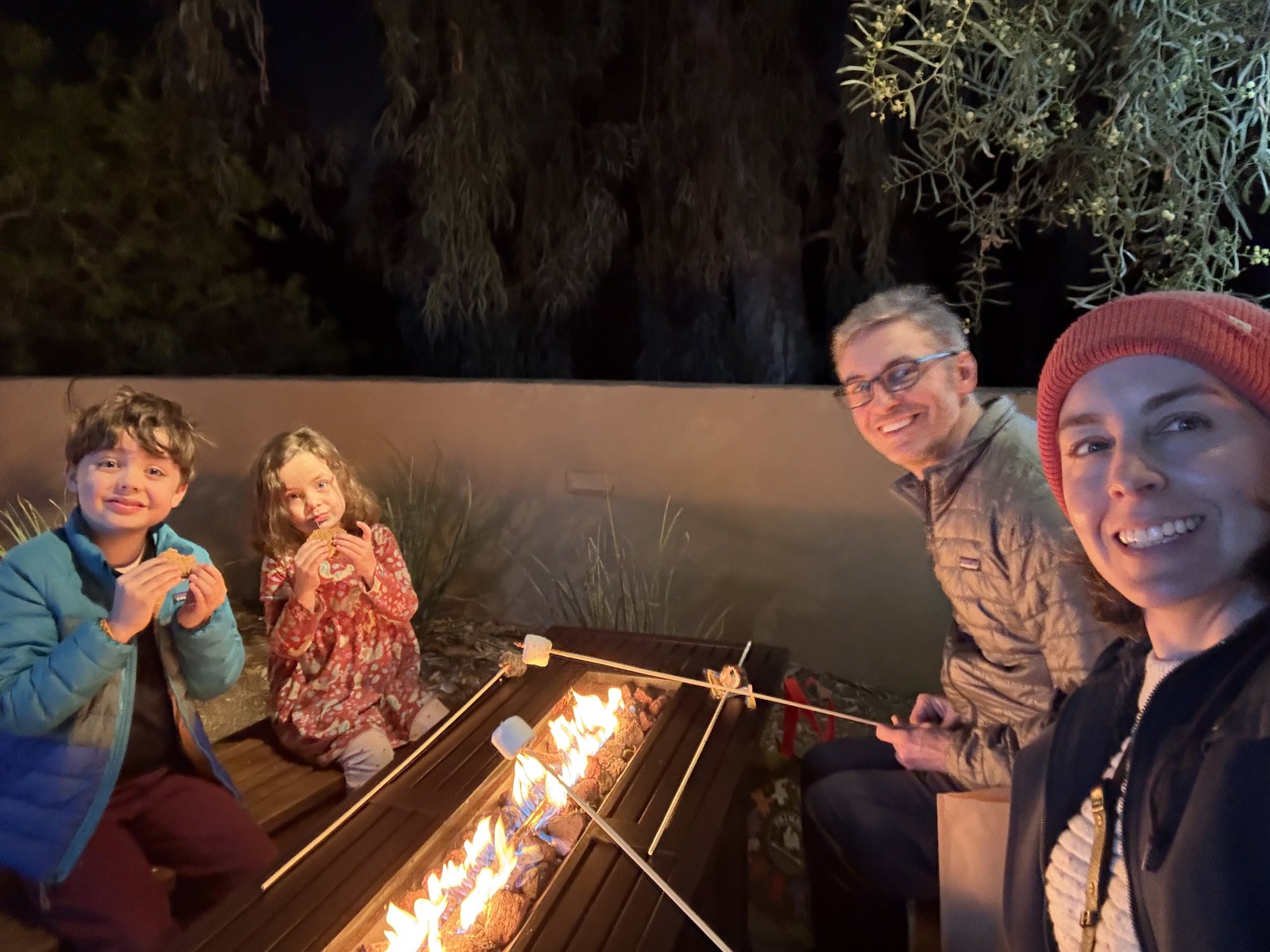S'mores at Zoolights.